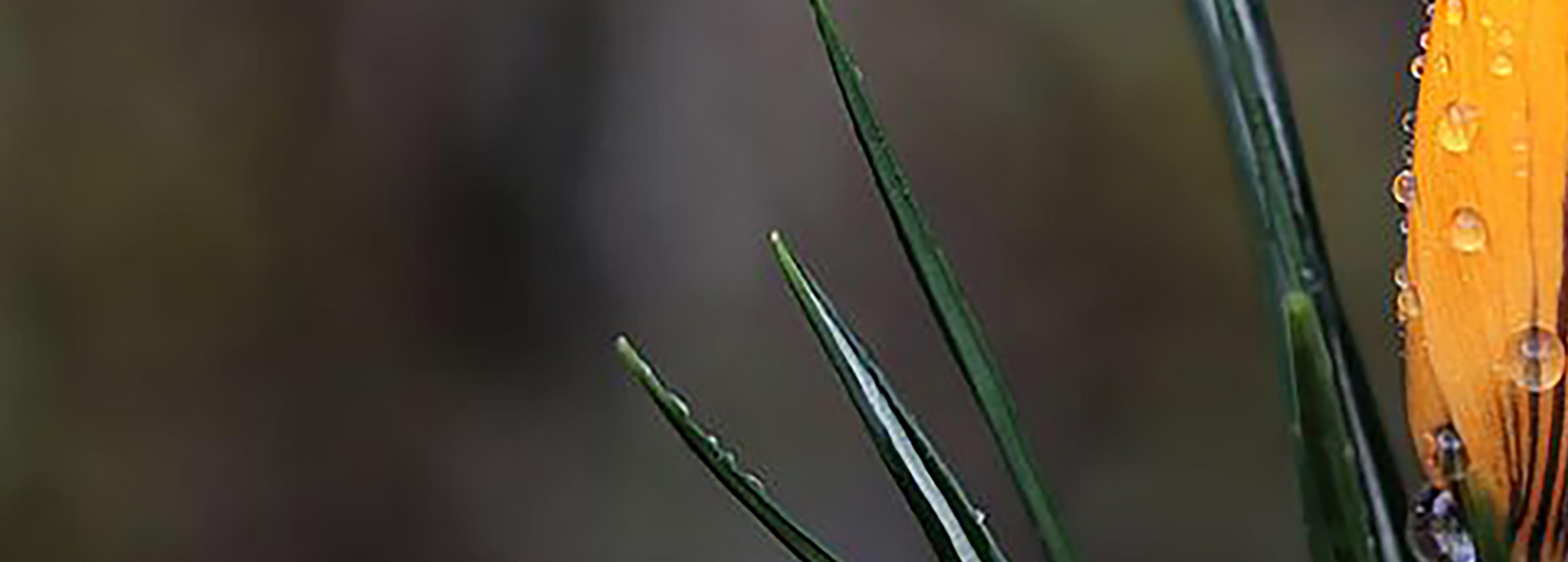 Shop cover image