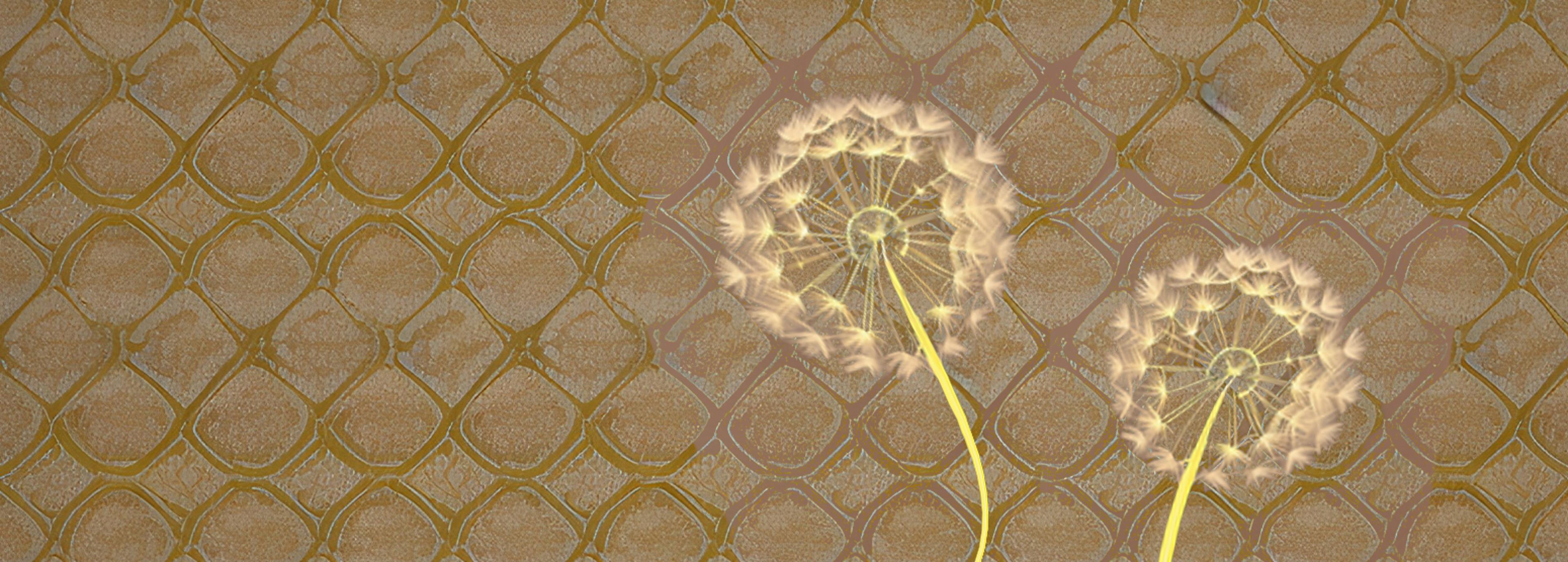 Shop cover image