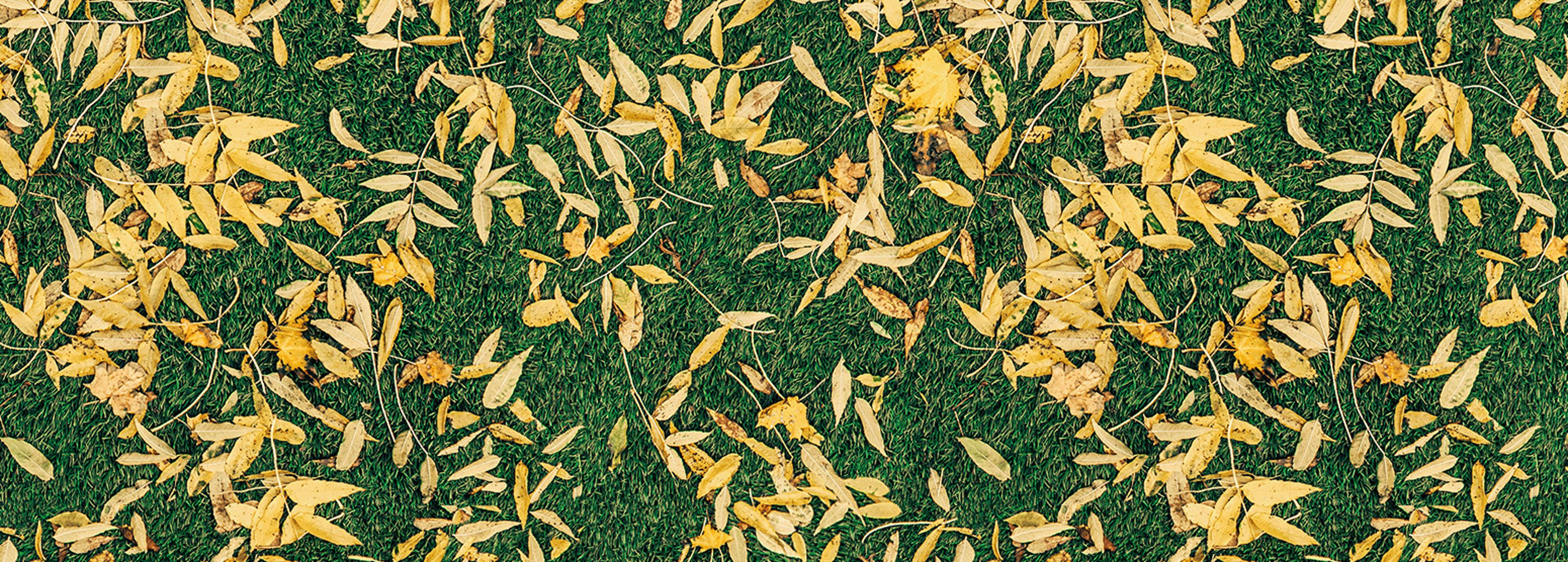 Shop cover image