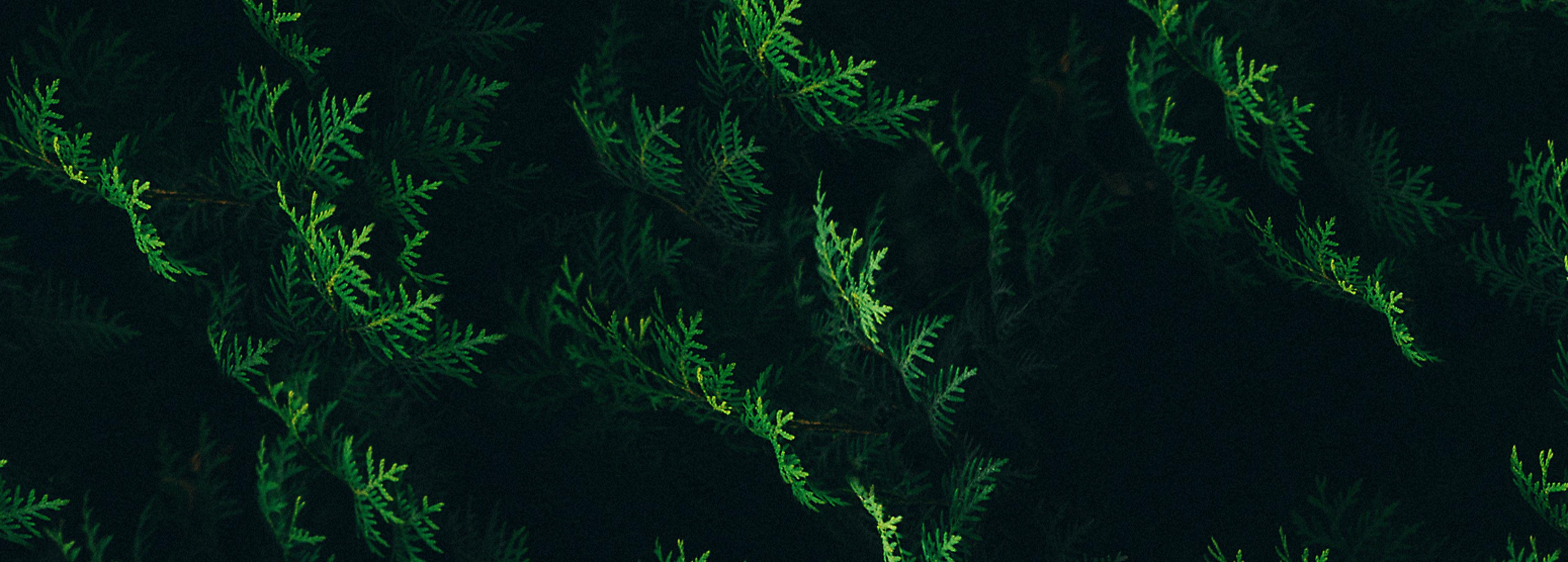 Shop cover image