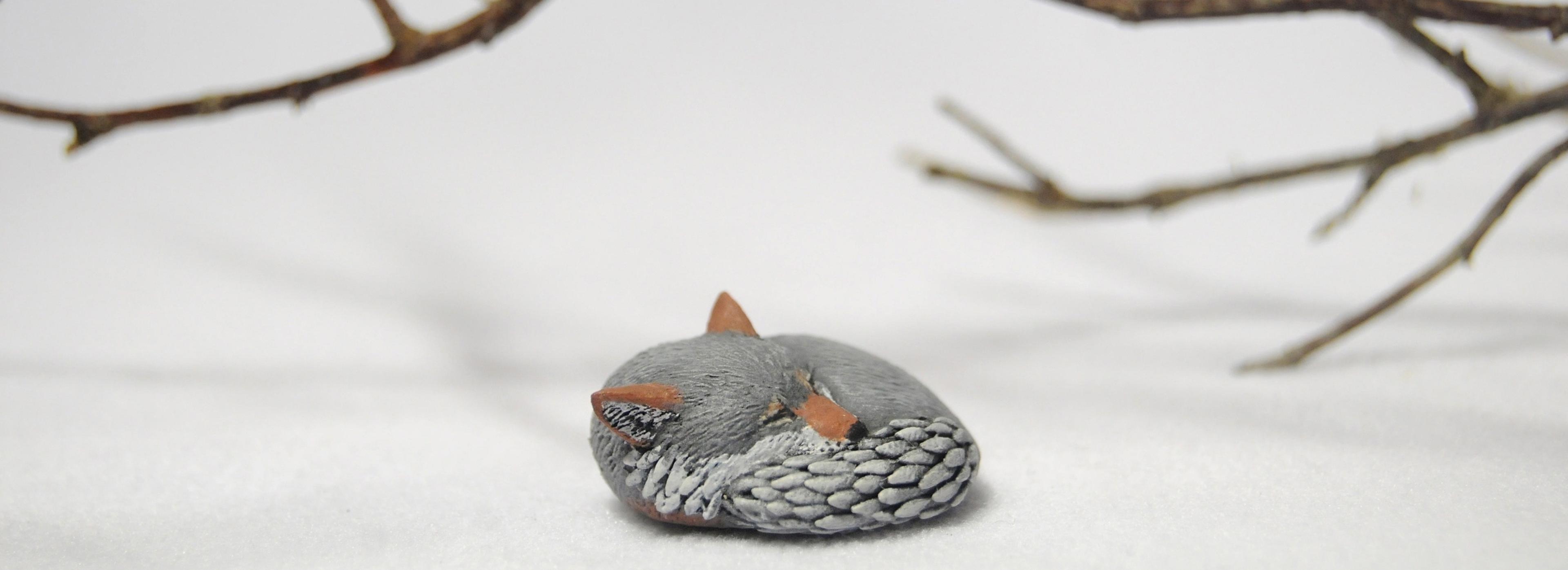 Shop cover image