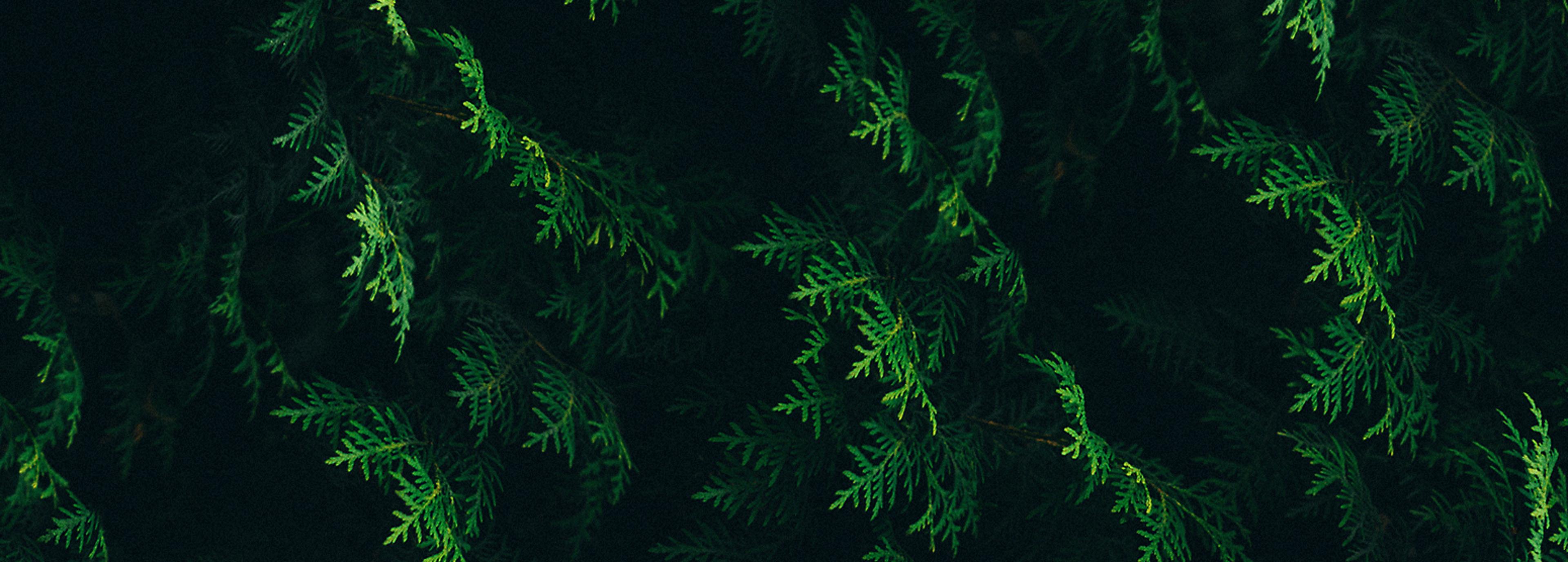 Shop cover image