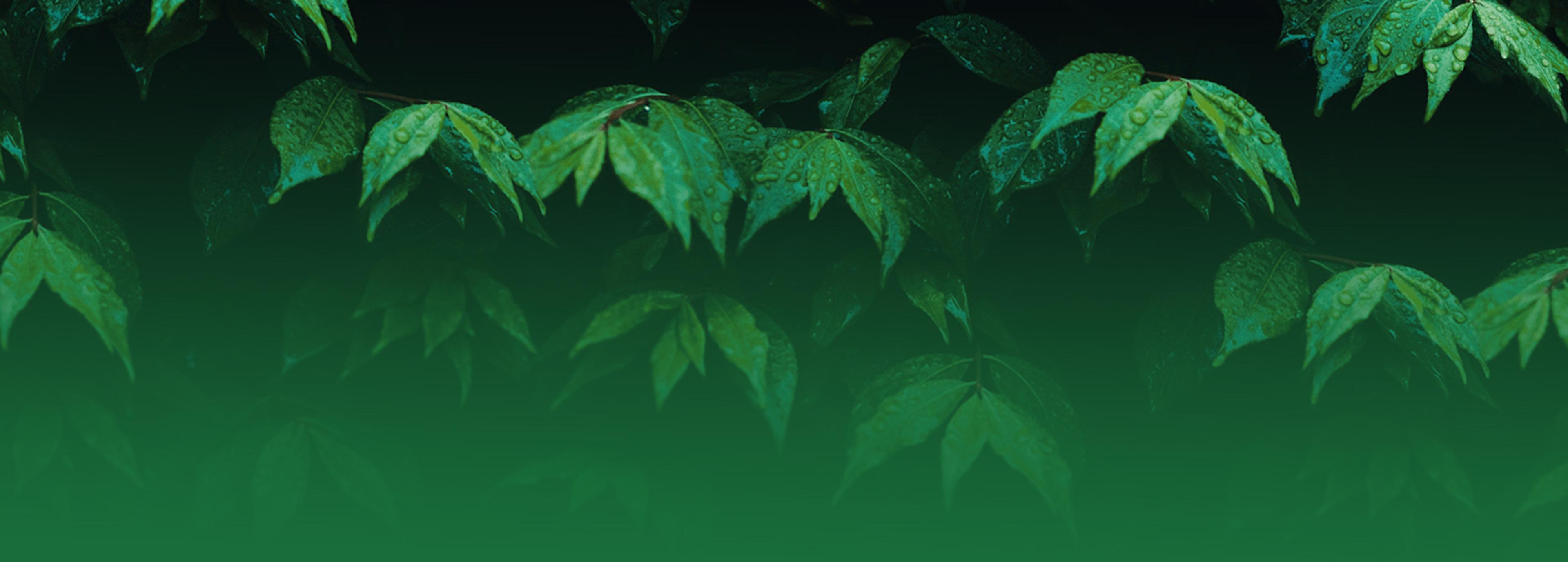 Shop cover image