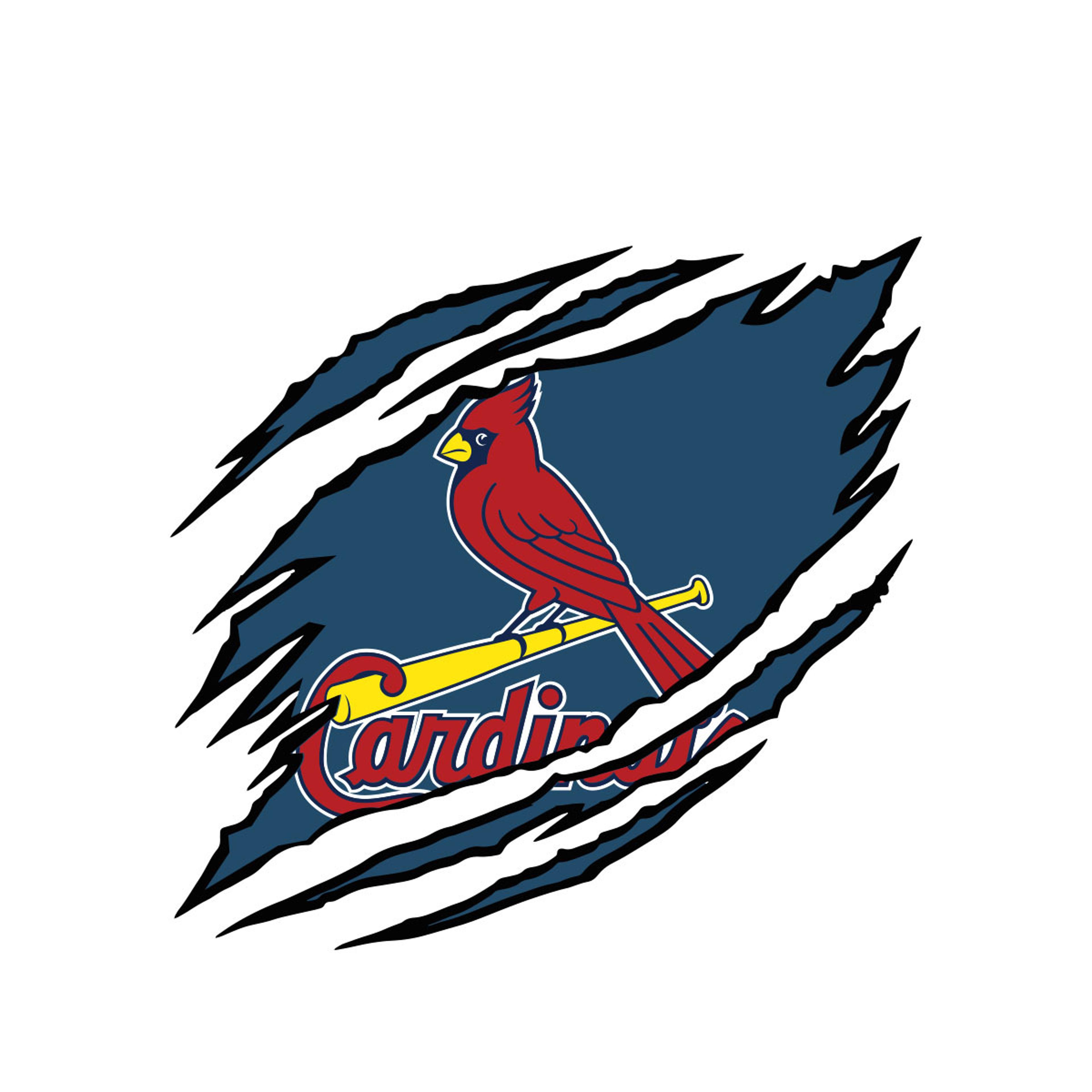 Shop cover image