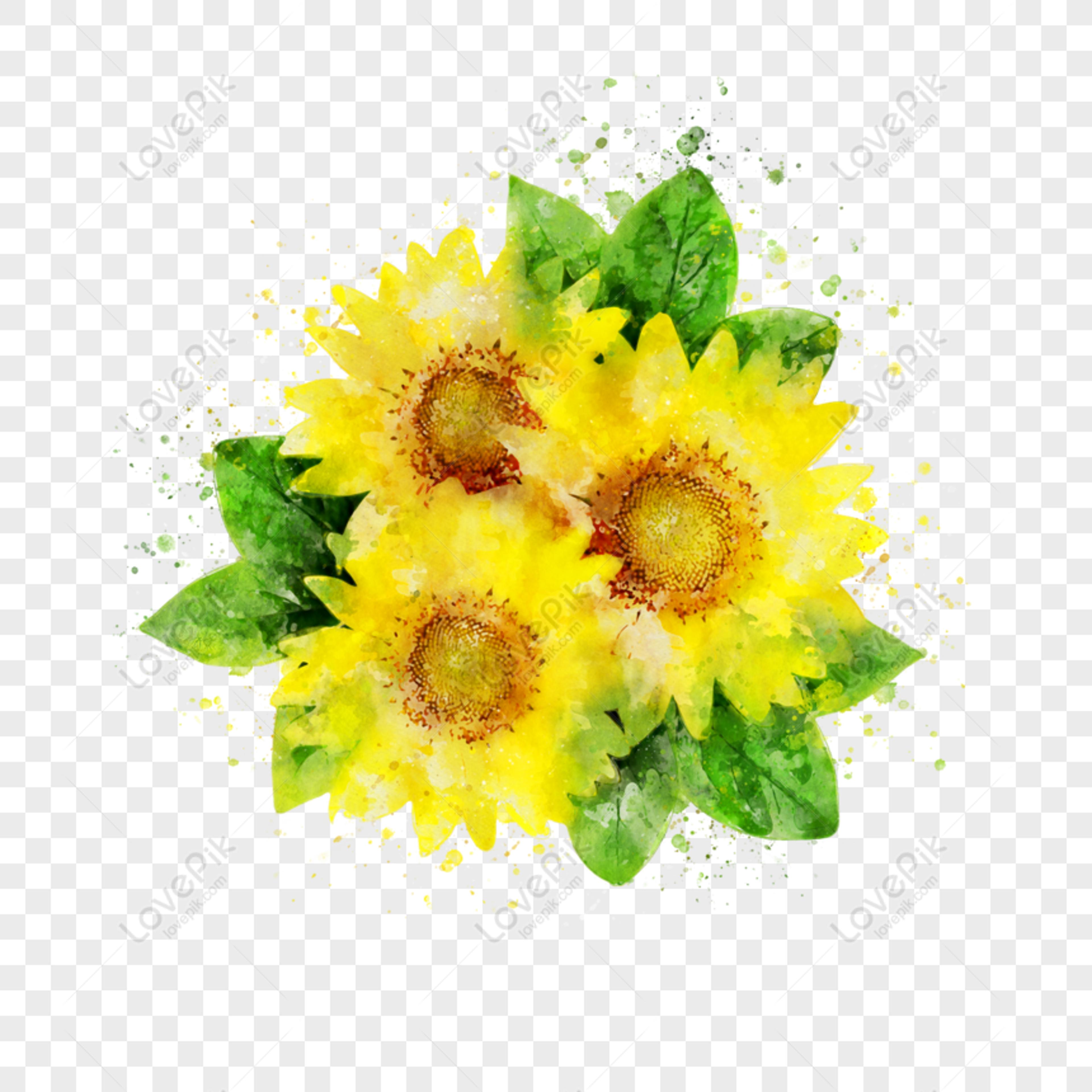 Shop cover image