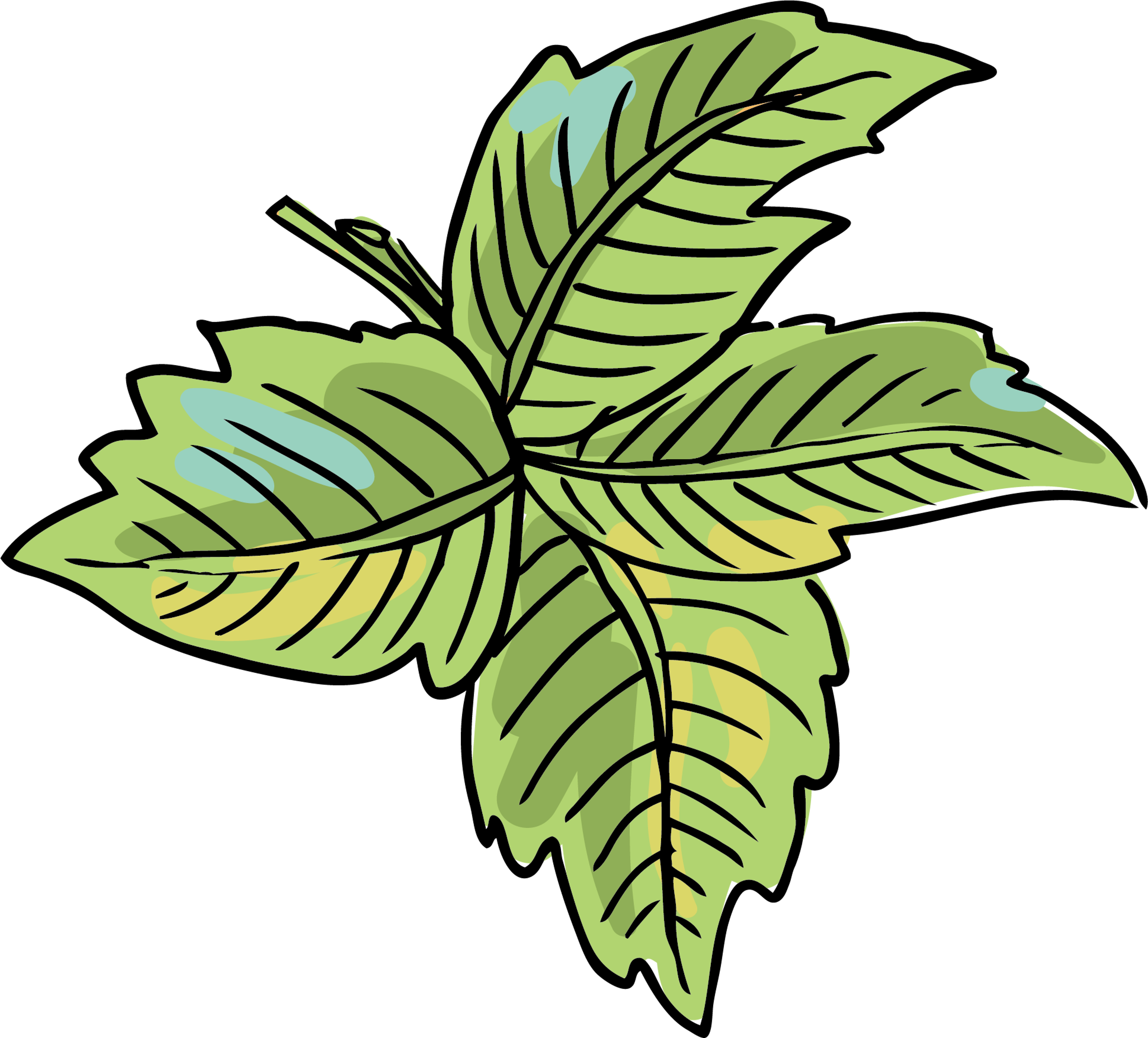 Shop cover image