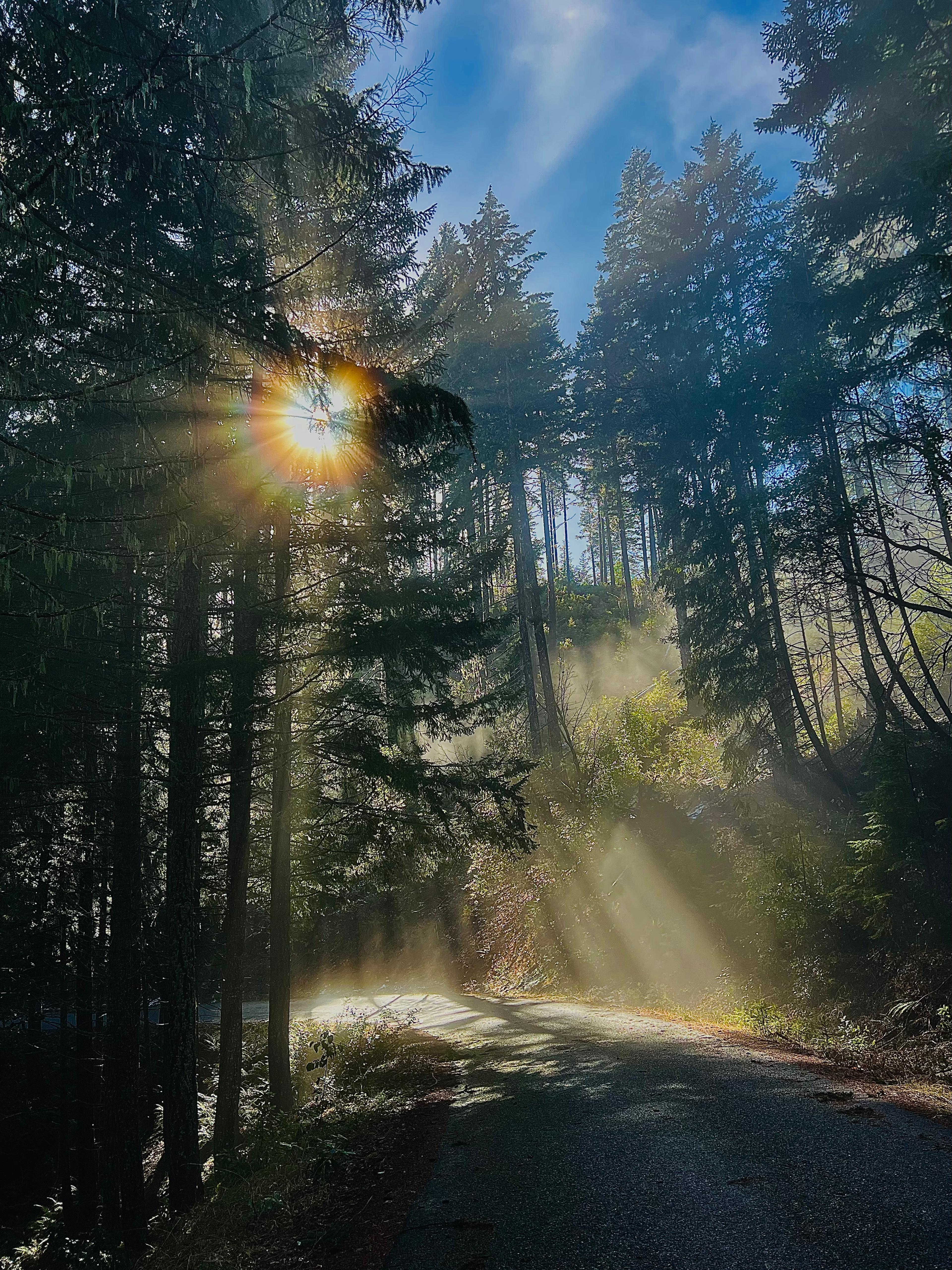 Shop cover image