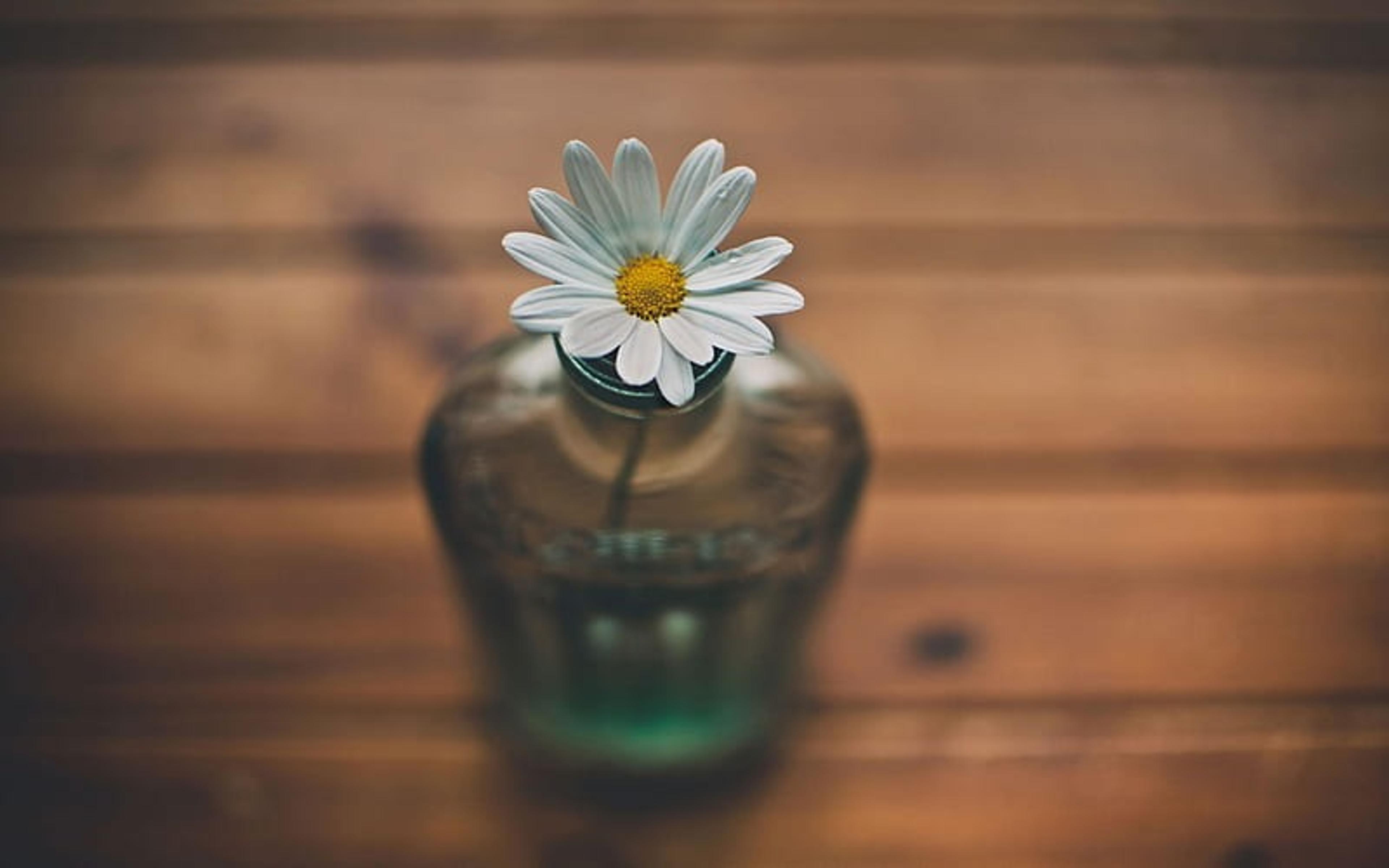 Shop cover image