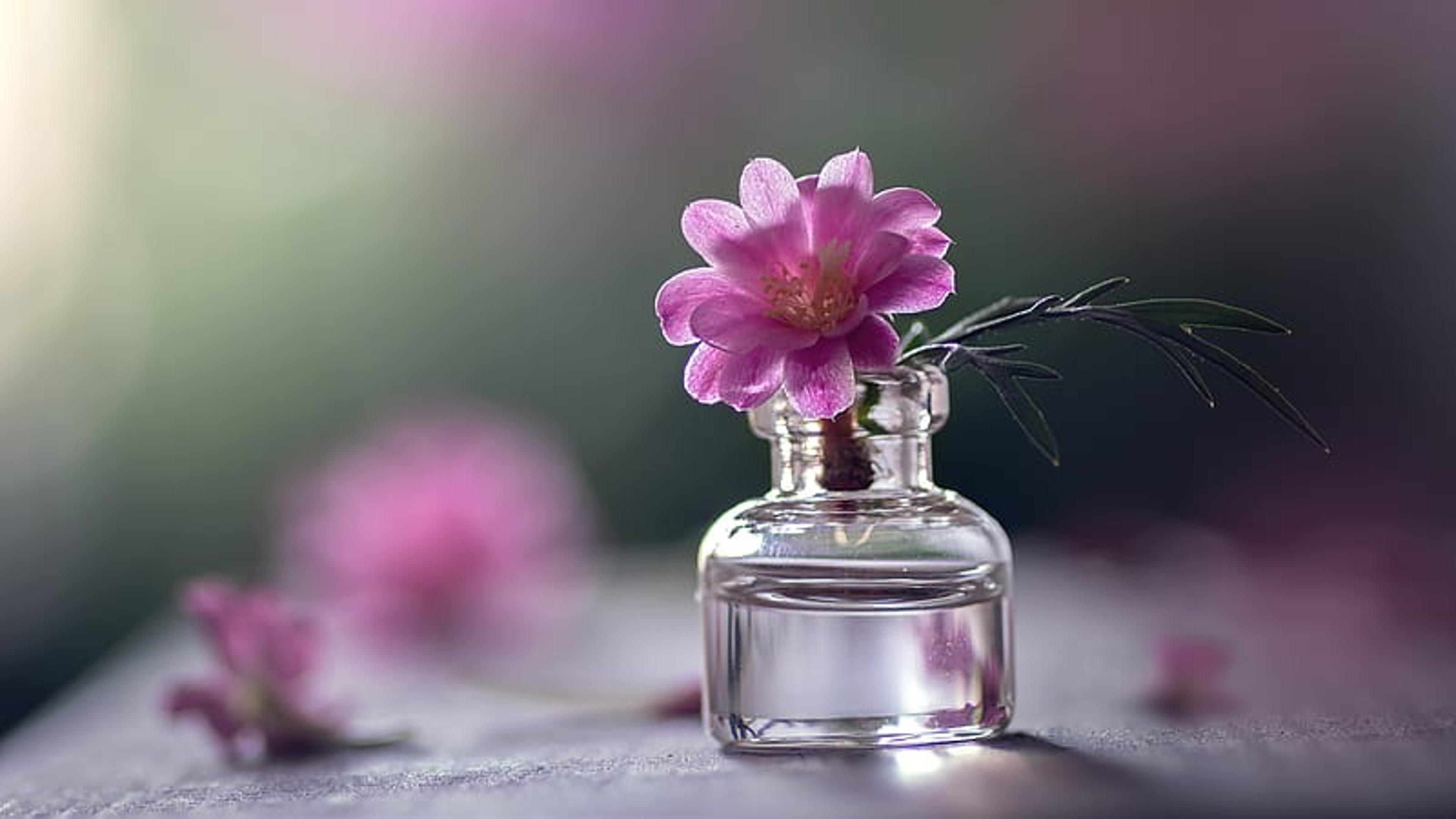 Shop cover image
