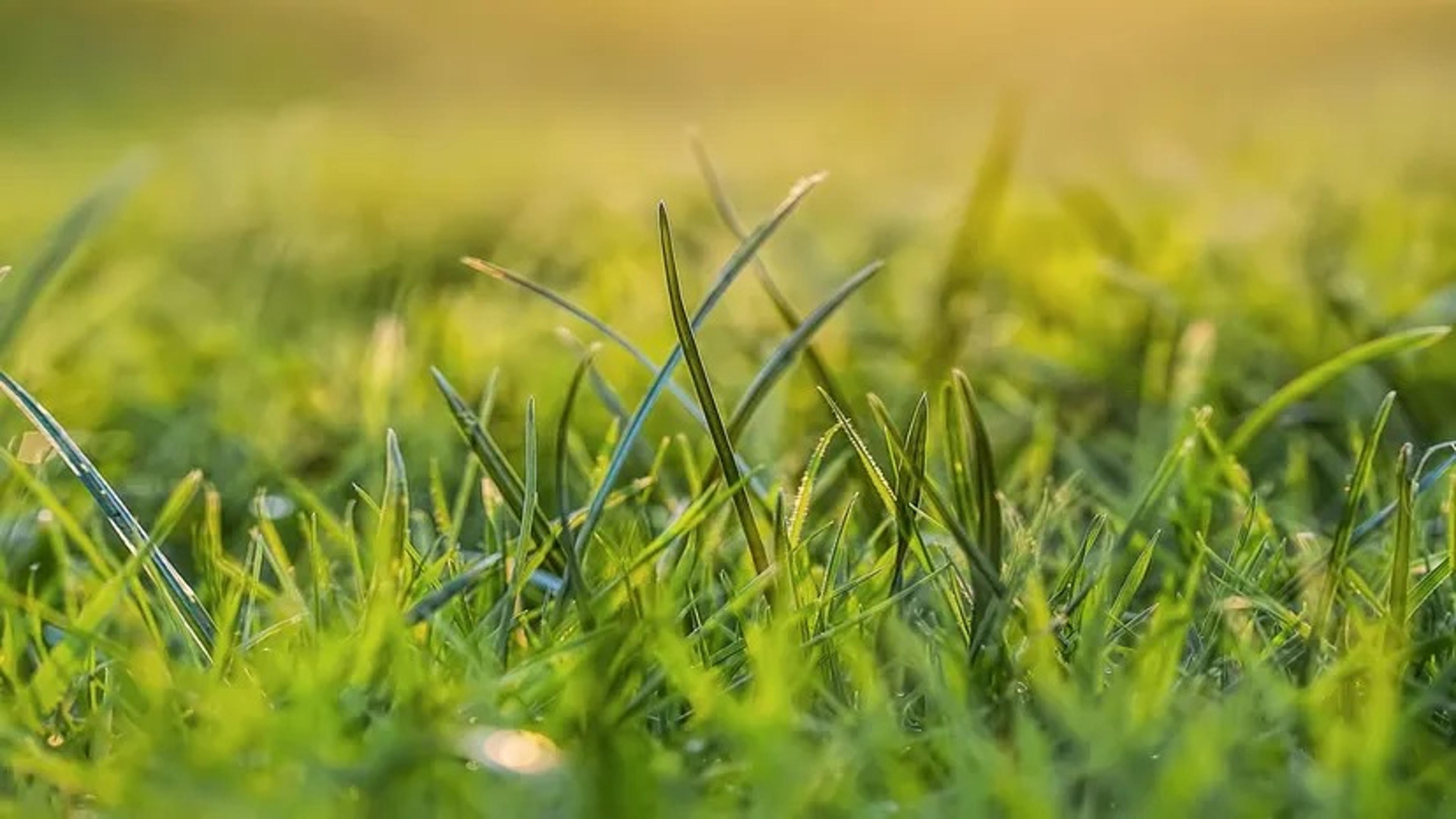 Shop cover image