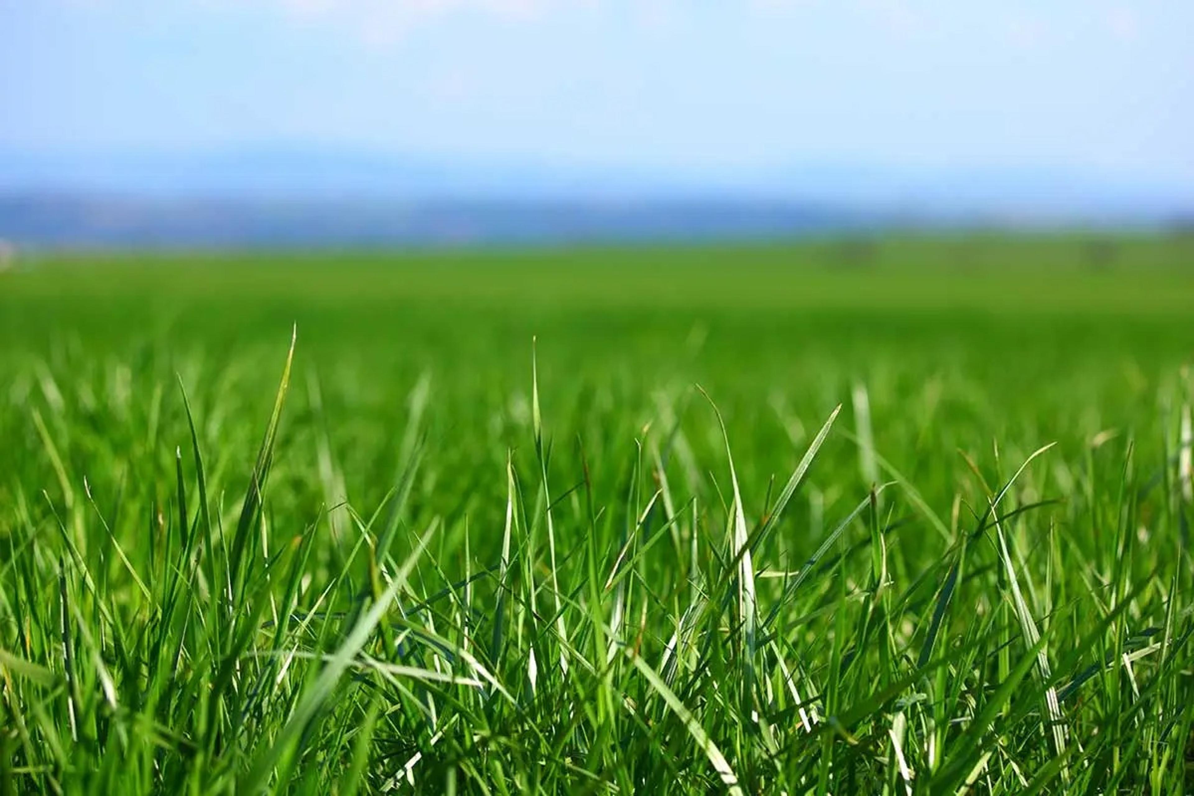 Shop cover image