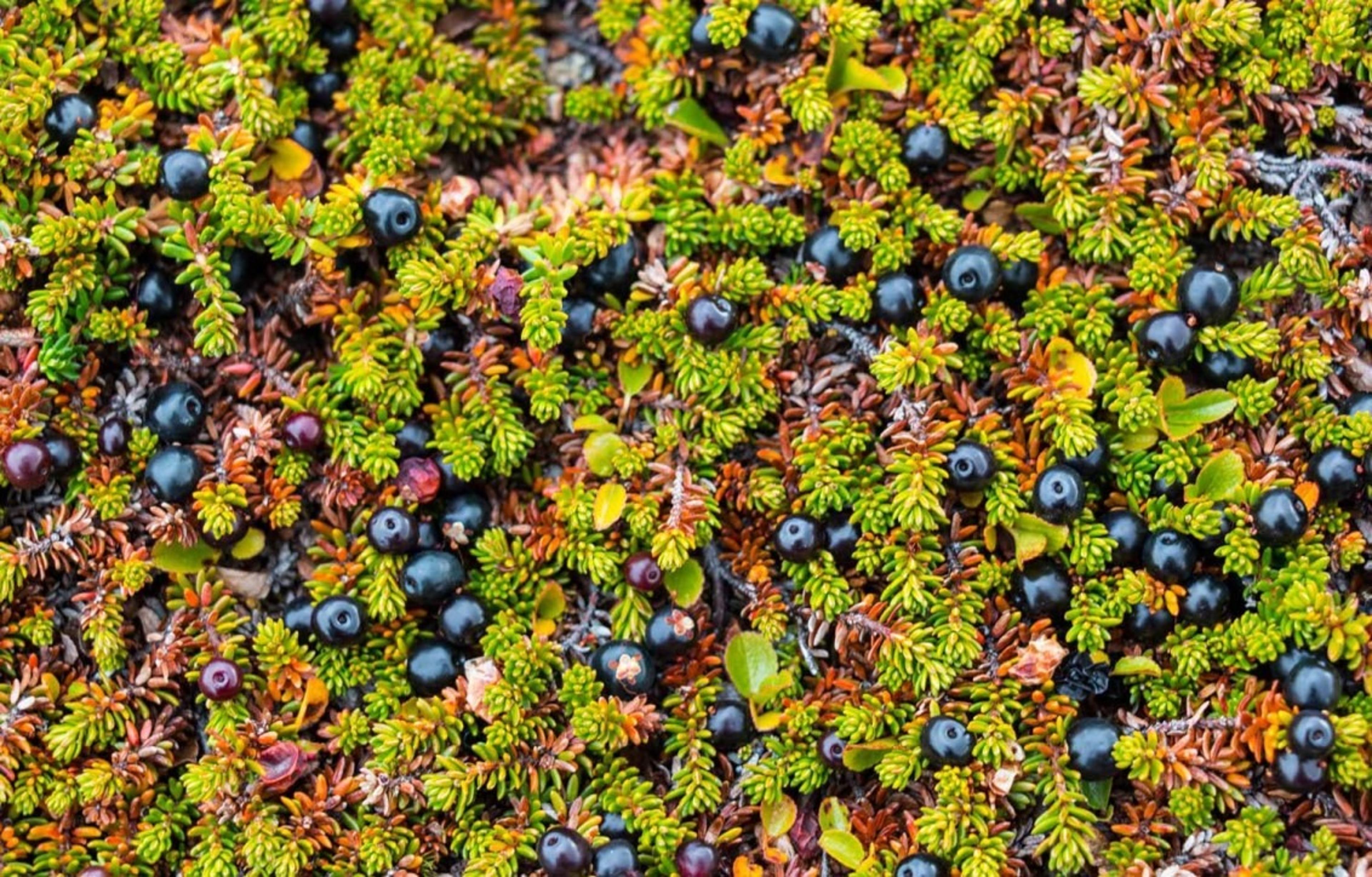 Shop cover image