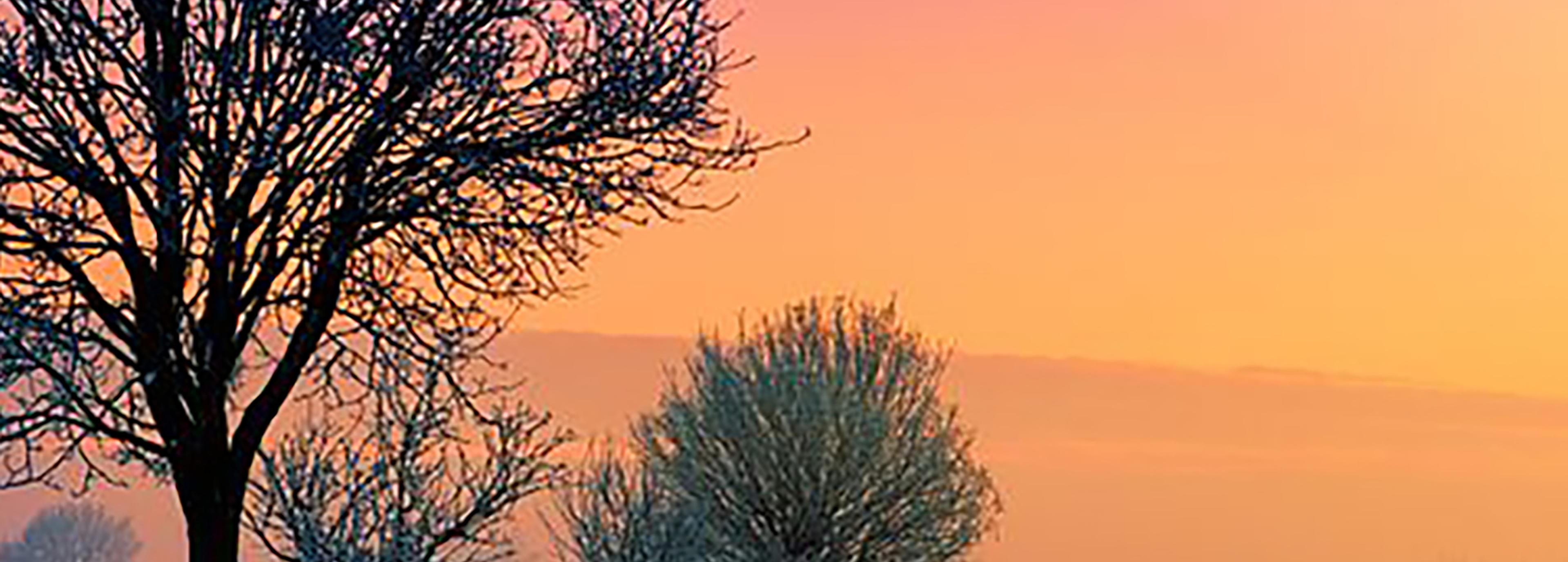Shop cover image