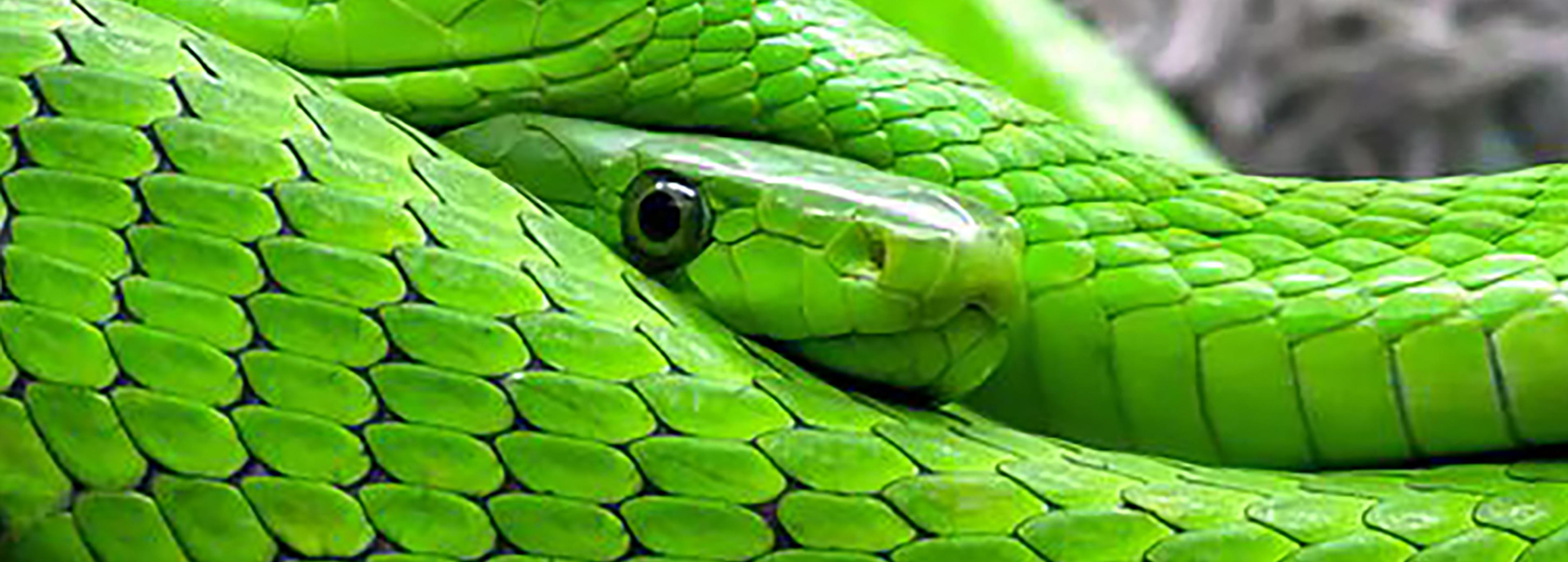 Shop cover image