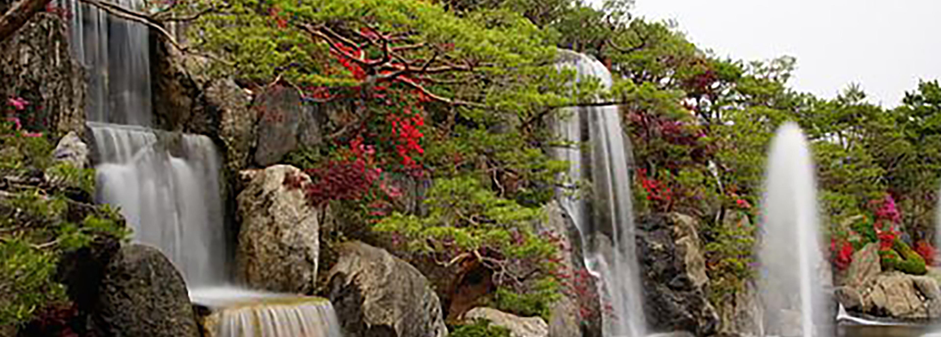 Shop cover image