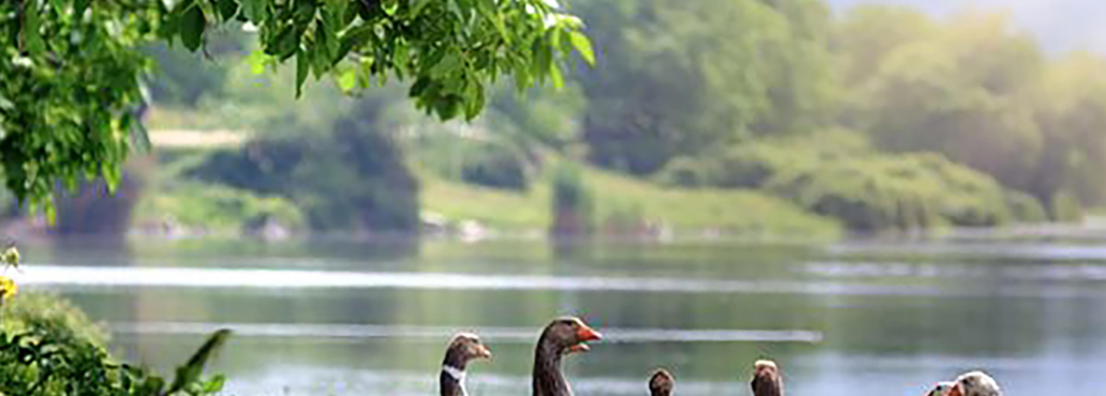 Shop cover image
