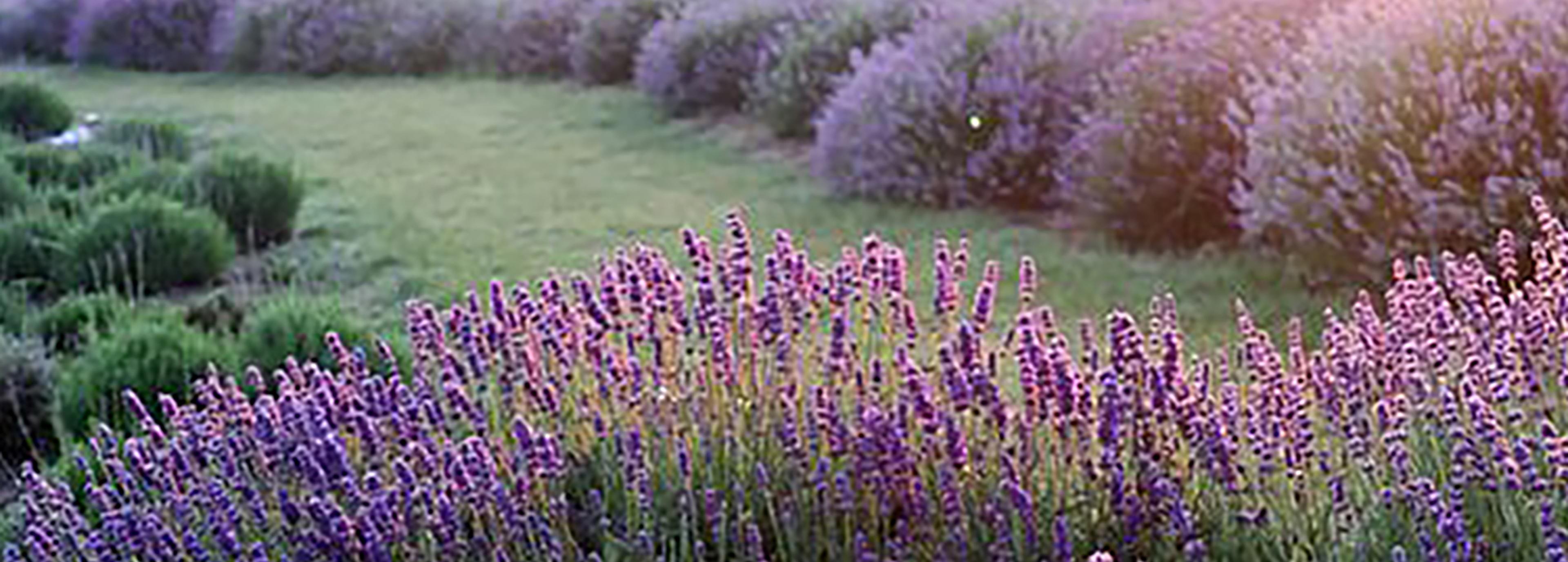 Shop cover image