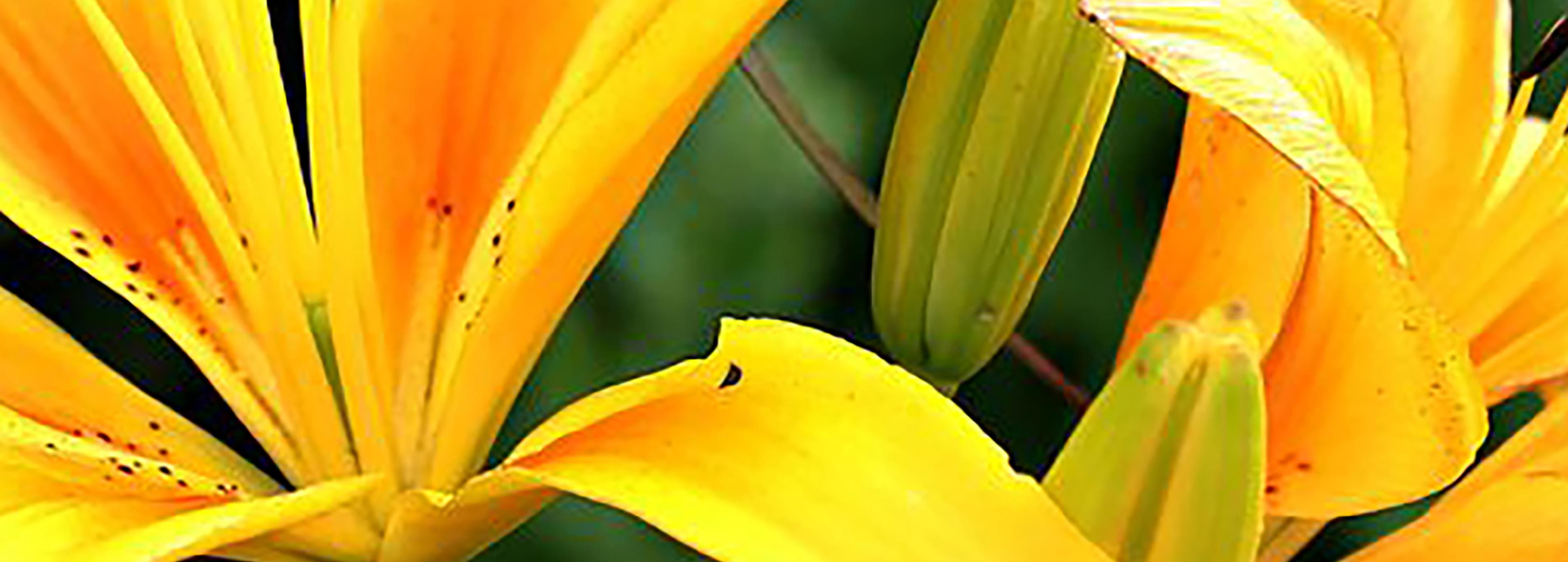 Shop cover image