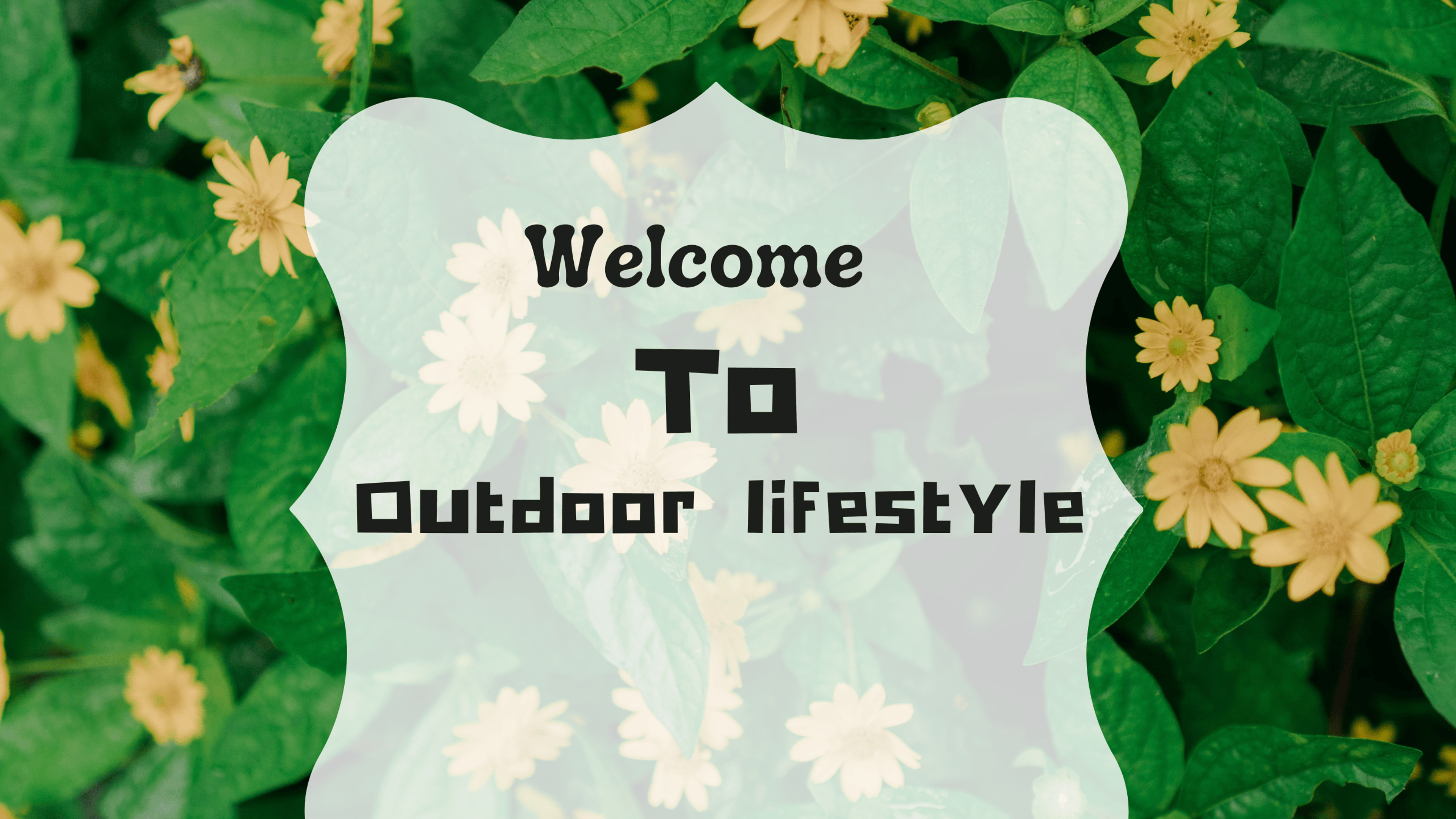 Shop cover image