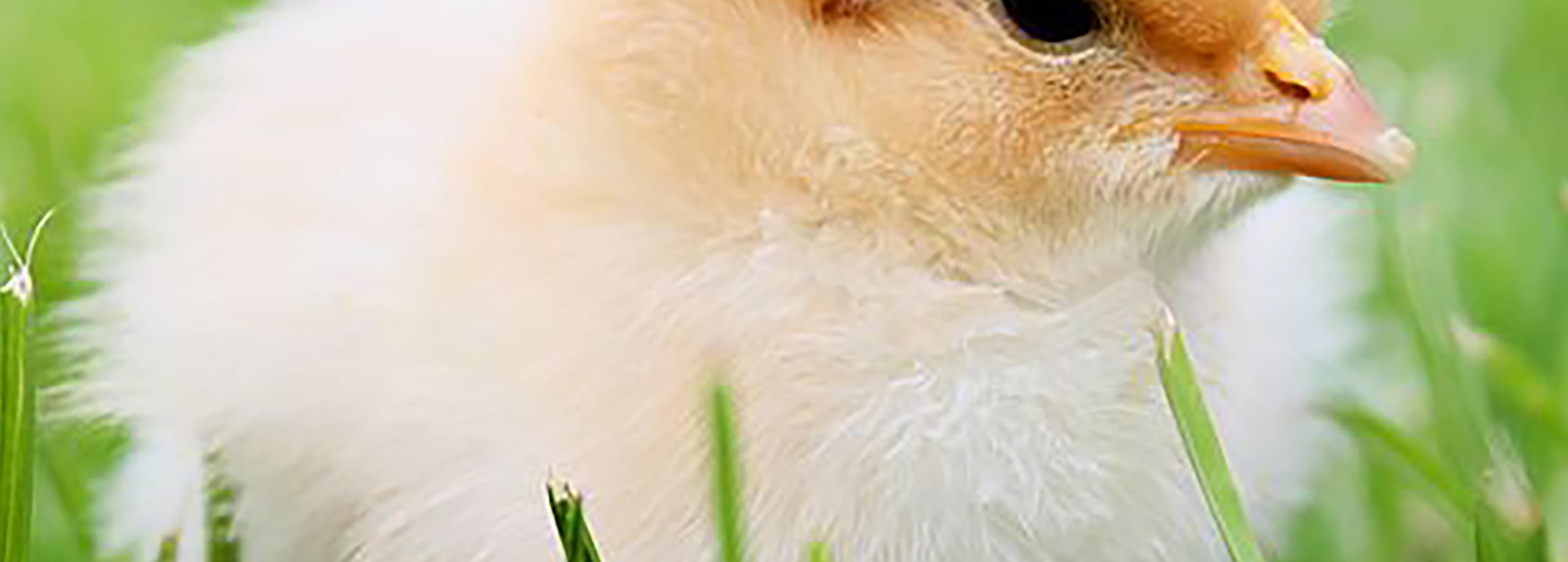 Shop cover image