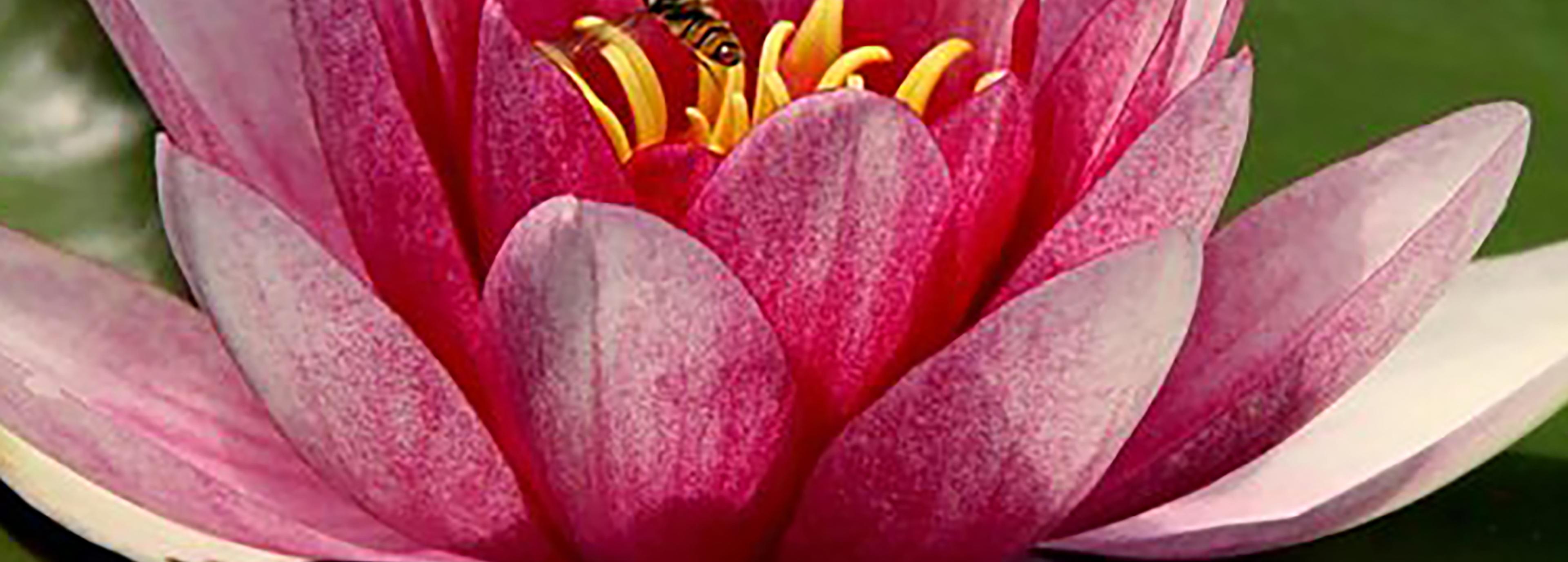 Shop cover image