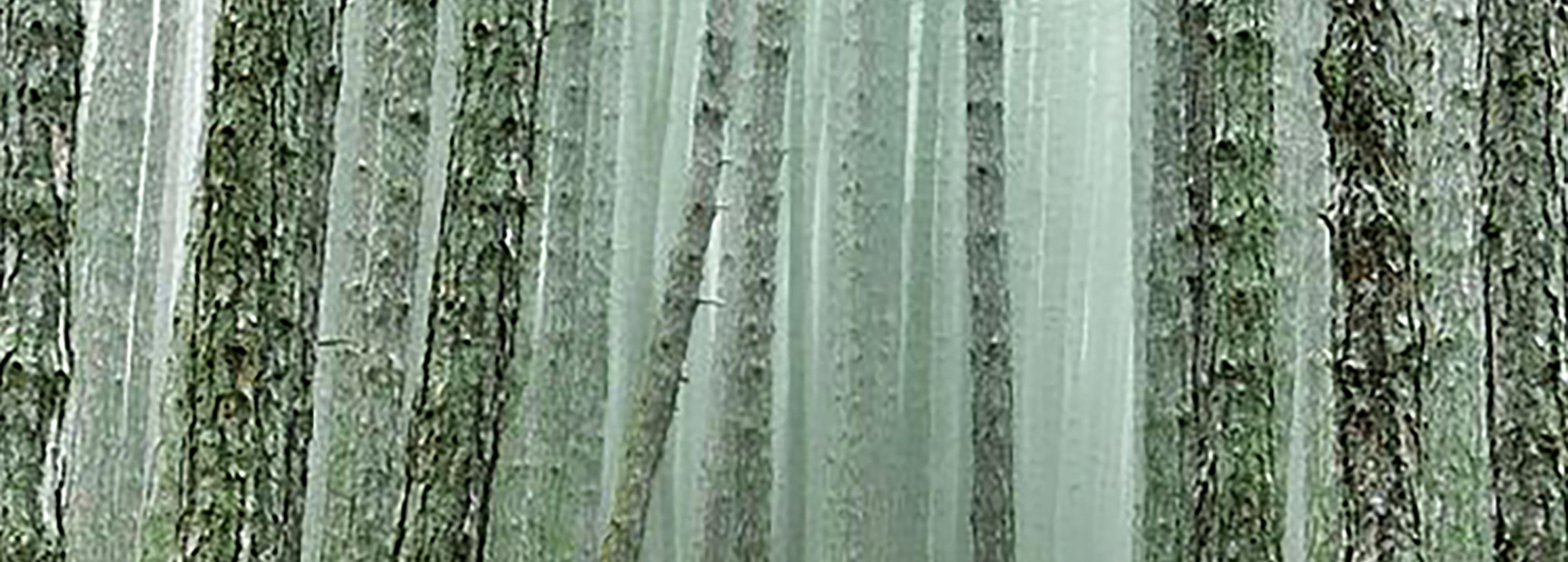 Shop cover image