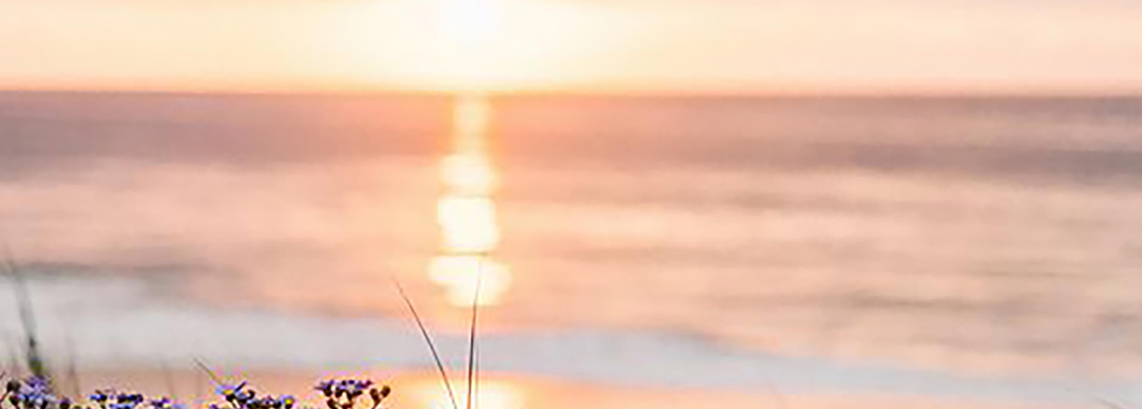 Shop cover image