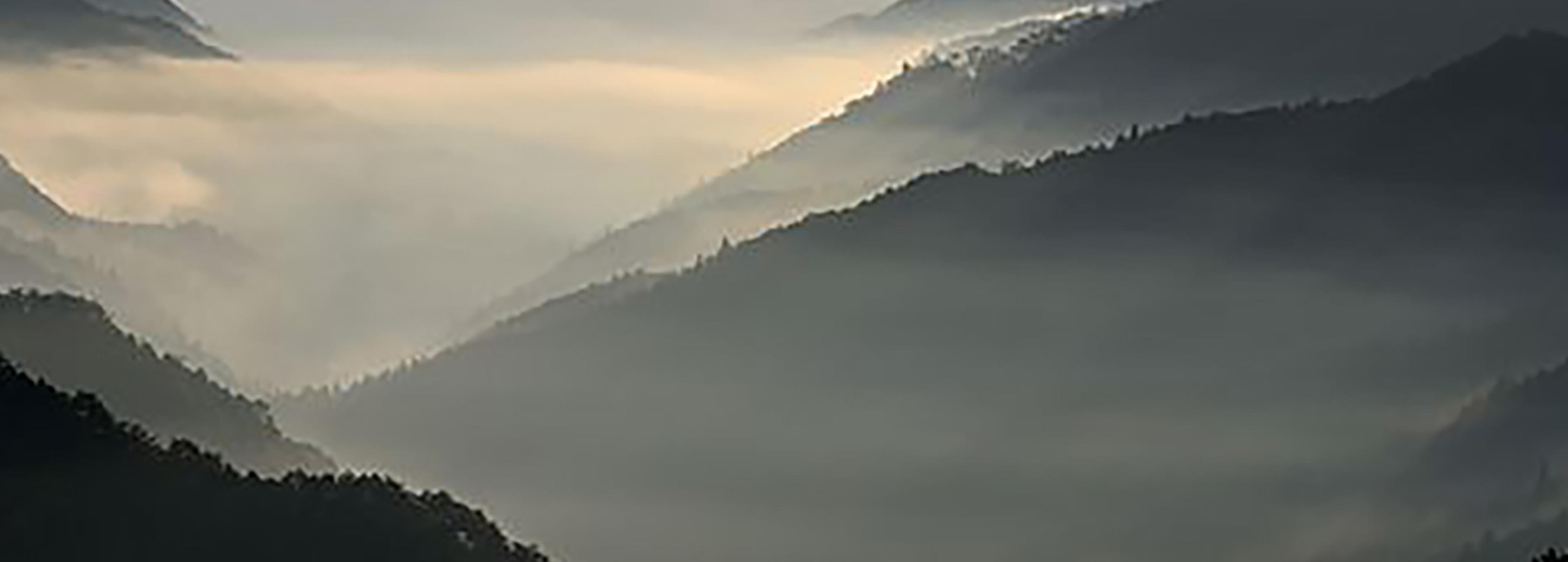 Shop cover image