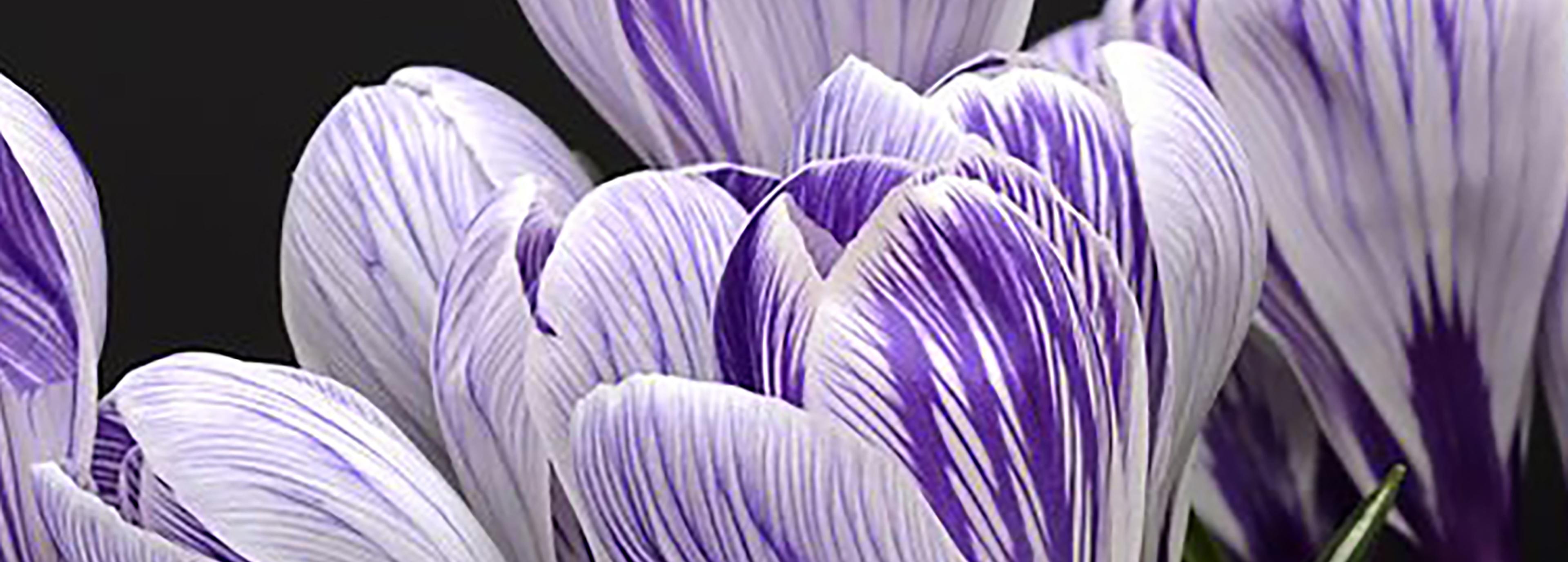 Shop cover image