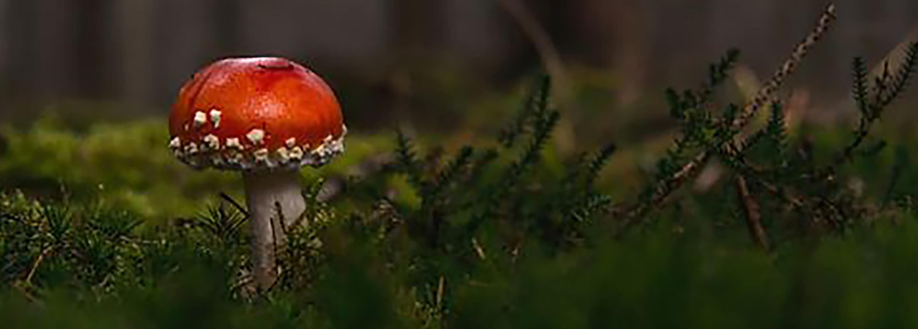 Shop cover image