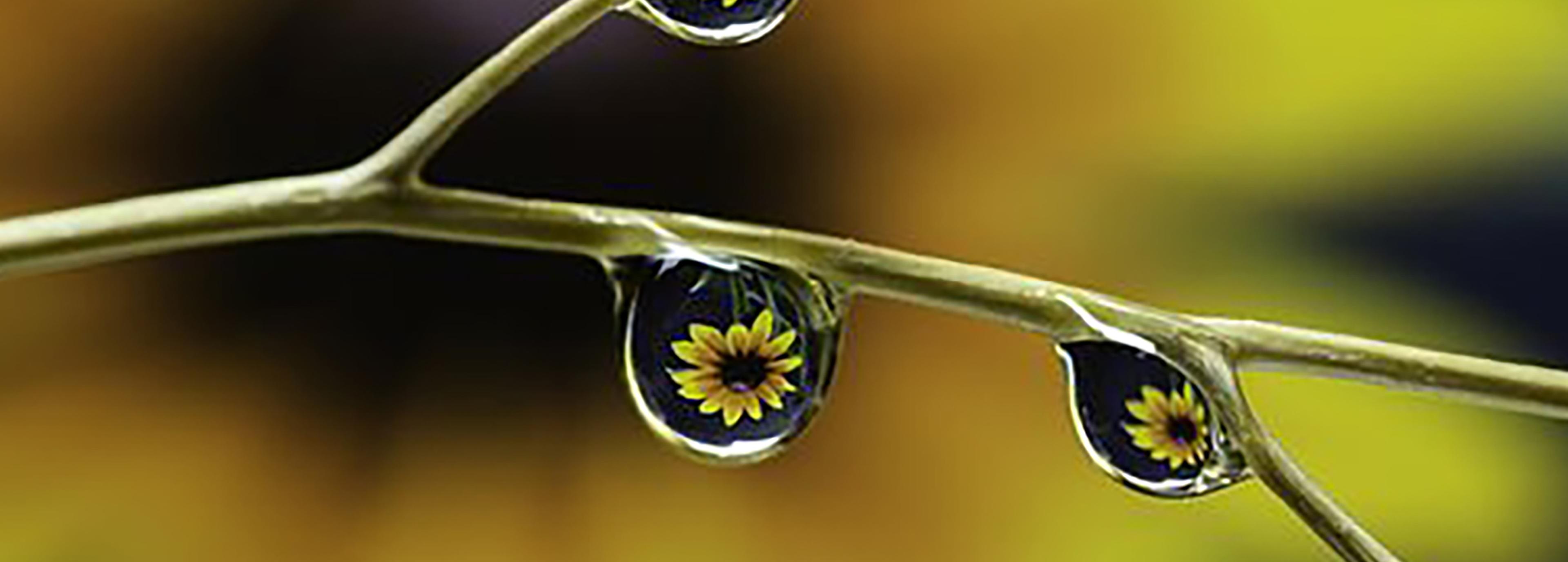 Shop cover image