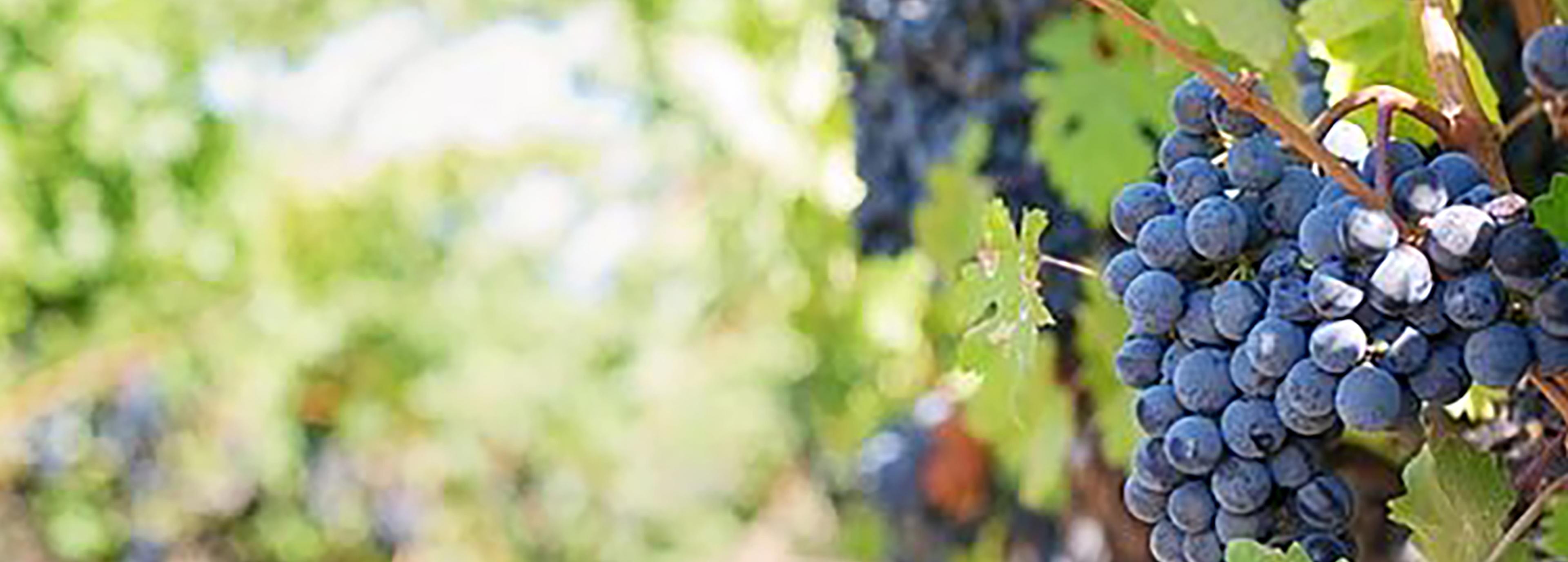 Shop cover image