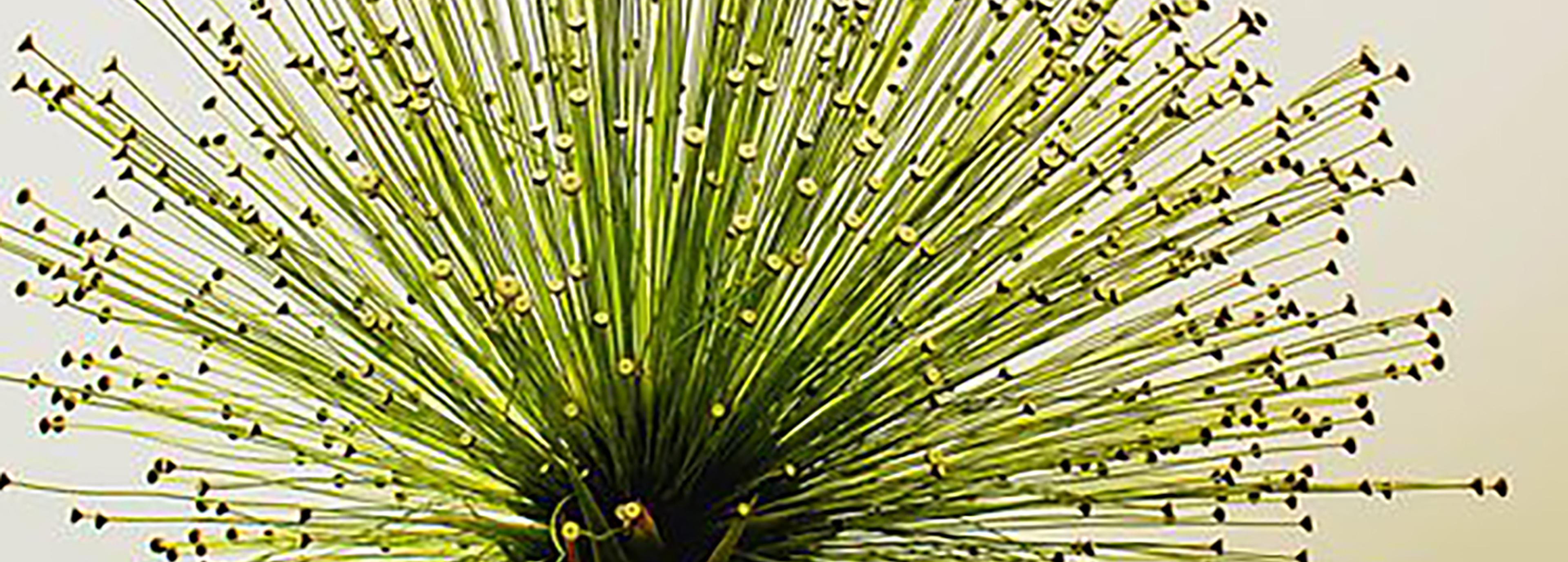 Shop cover image