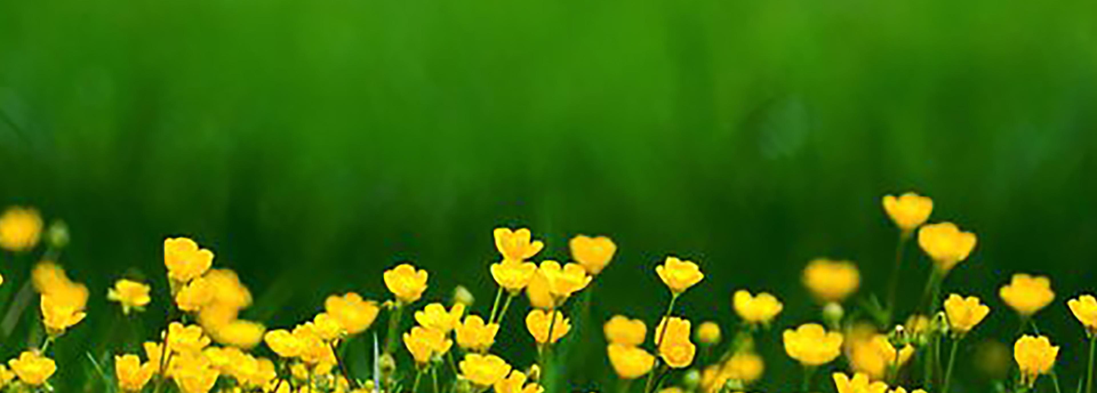 Shop cover image