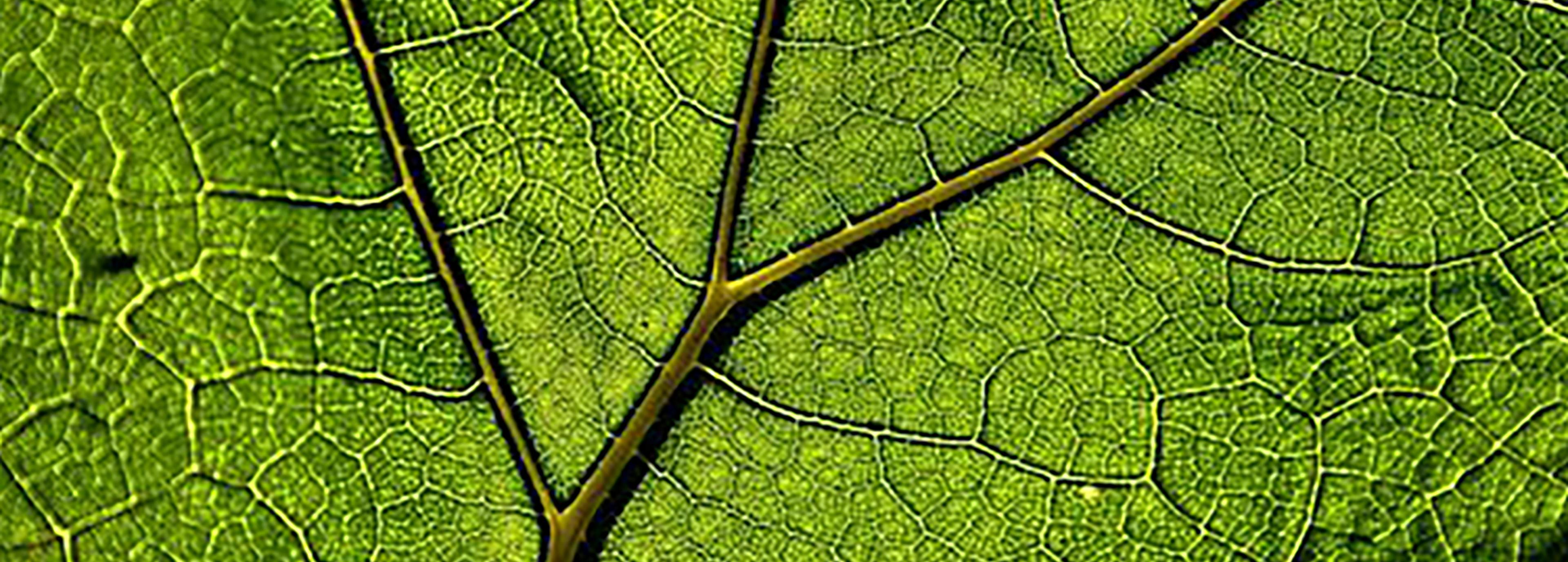 Shop cover image