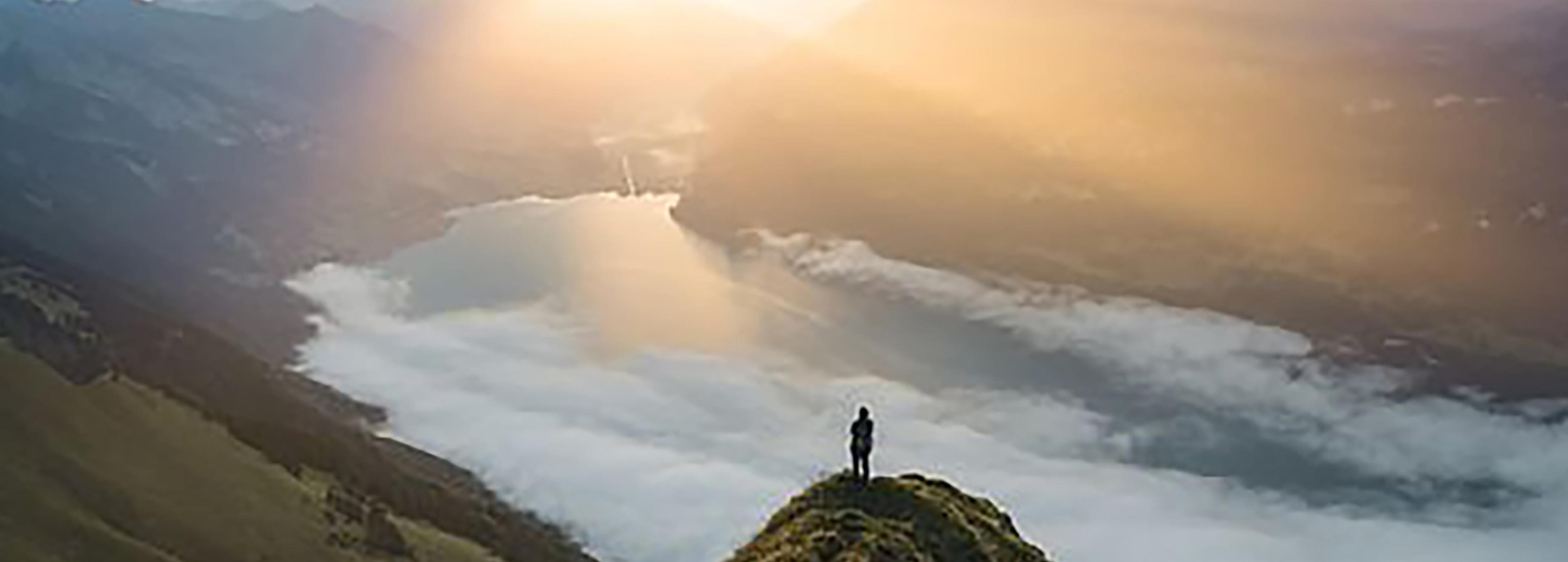Shop cover image