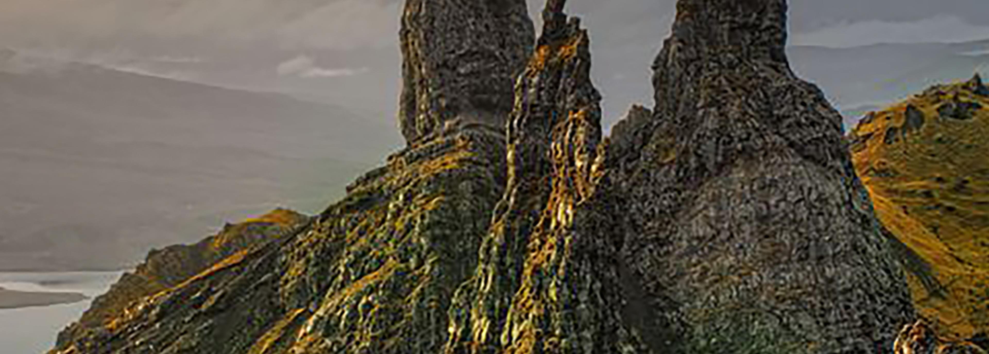 Shop cover image
