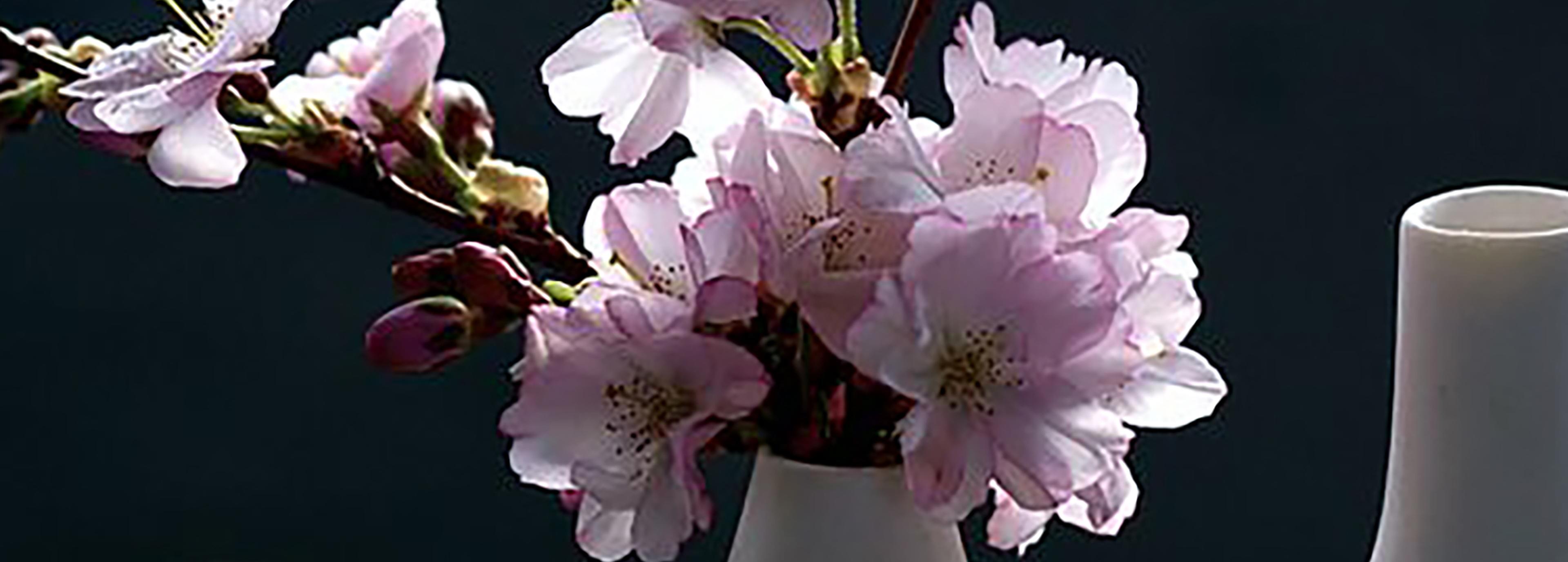 Shop cover image
