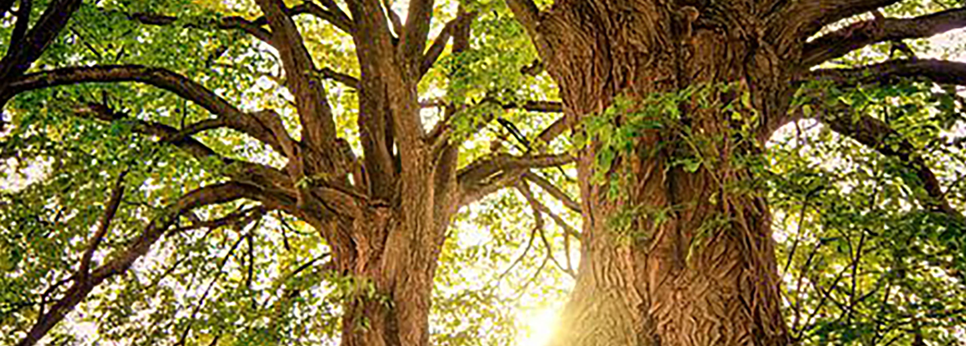 Shop cover image