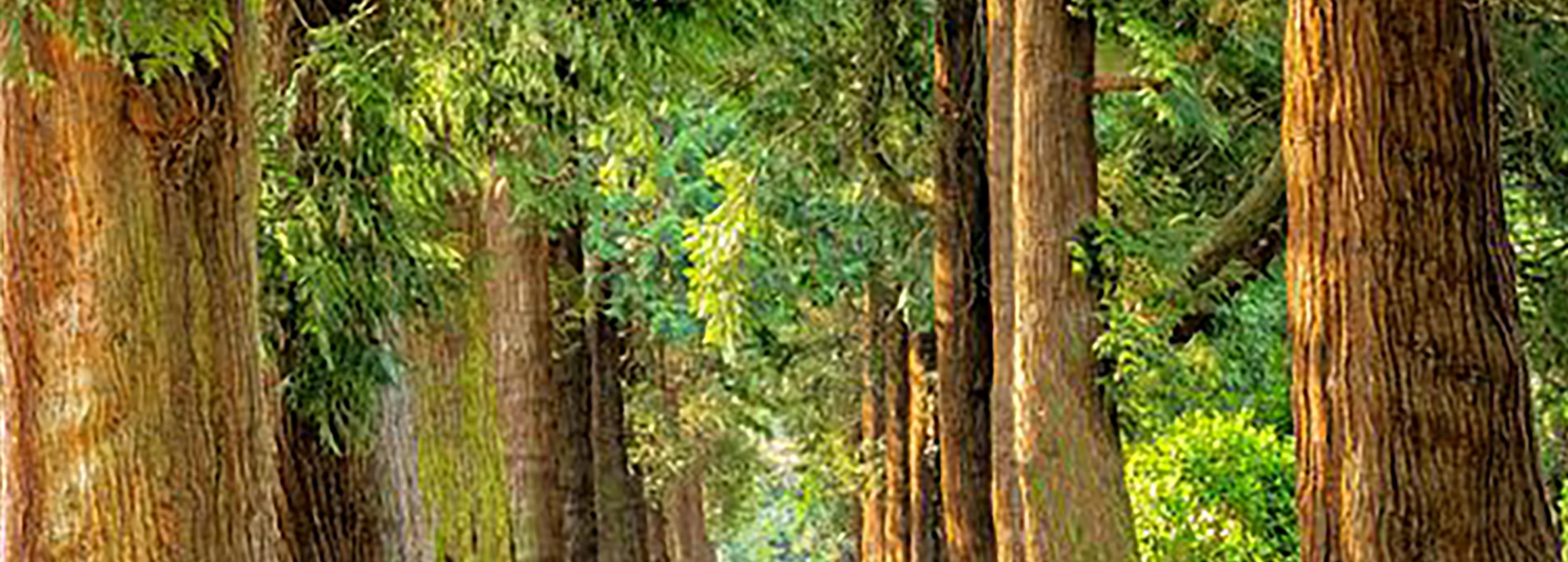 Shop cover image