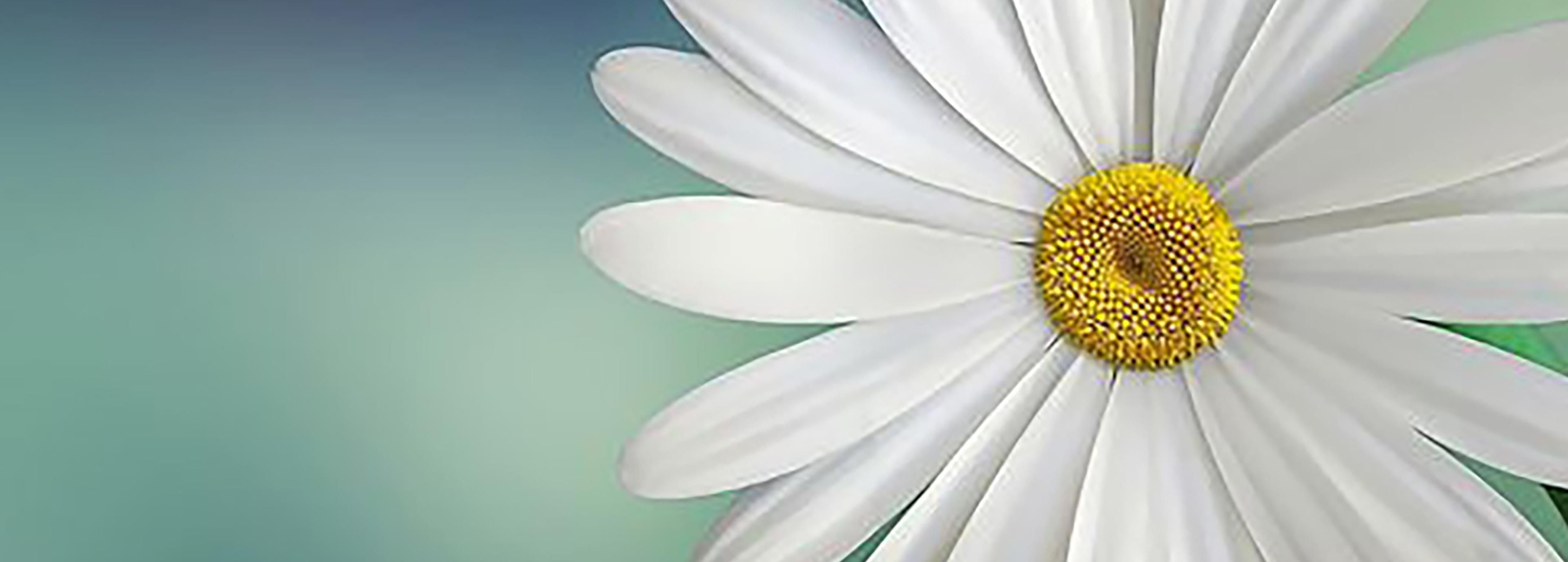 Shop cover image