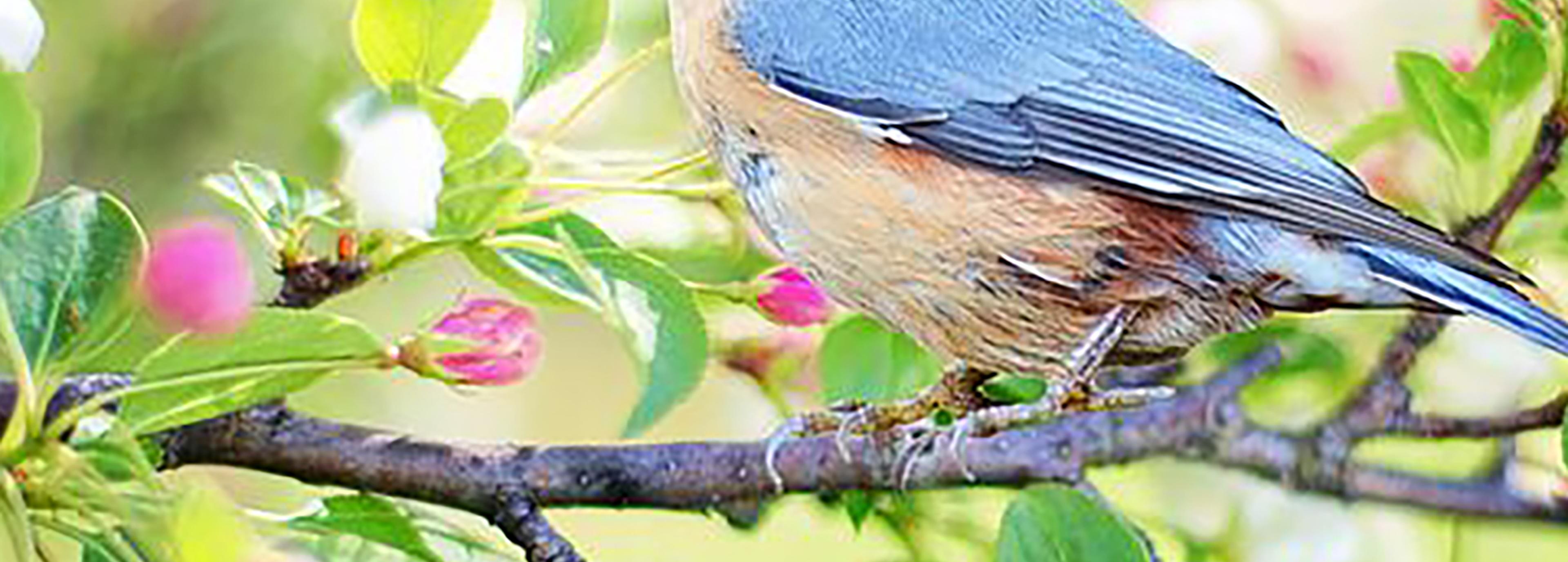 Shop cover image