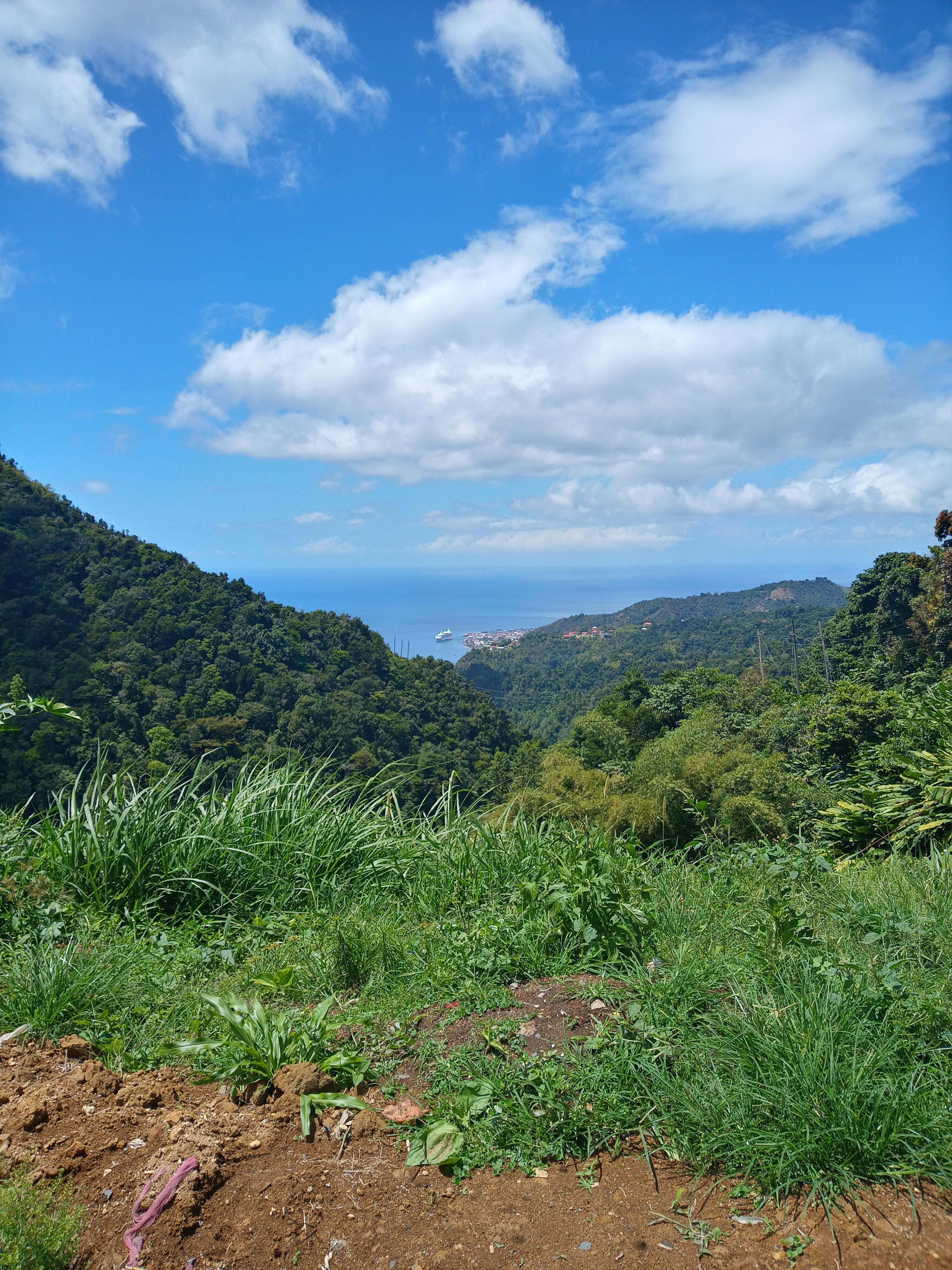 Shop cover image