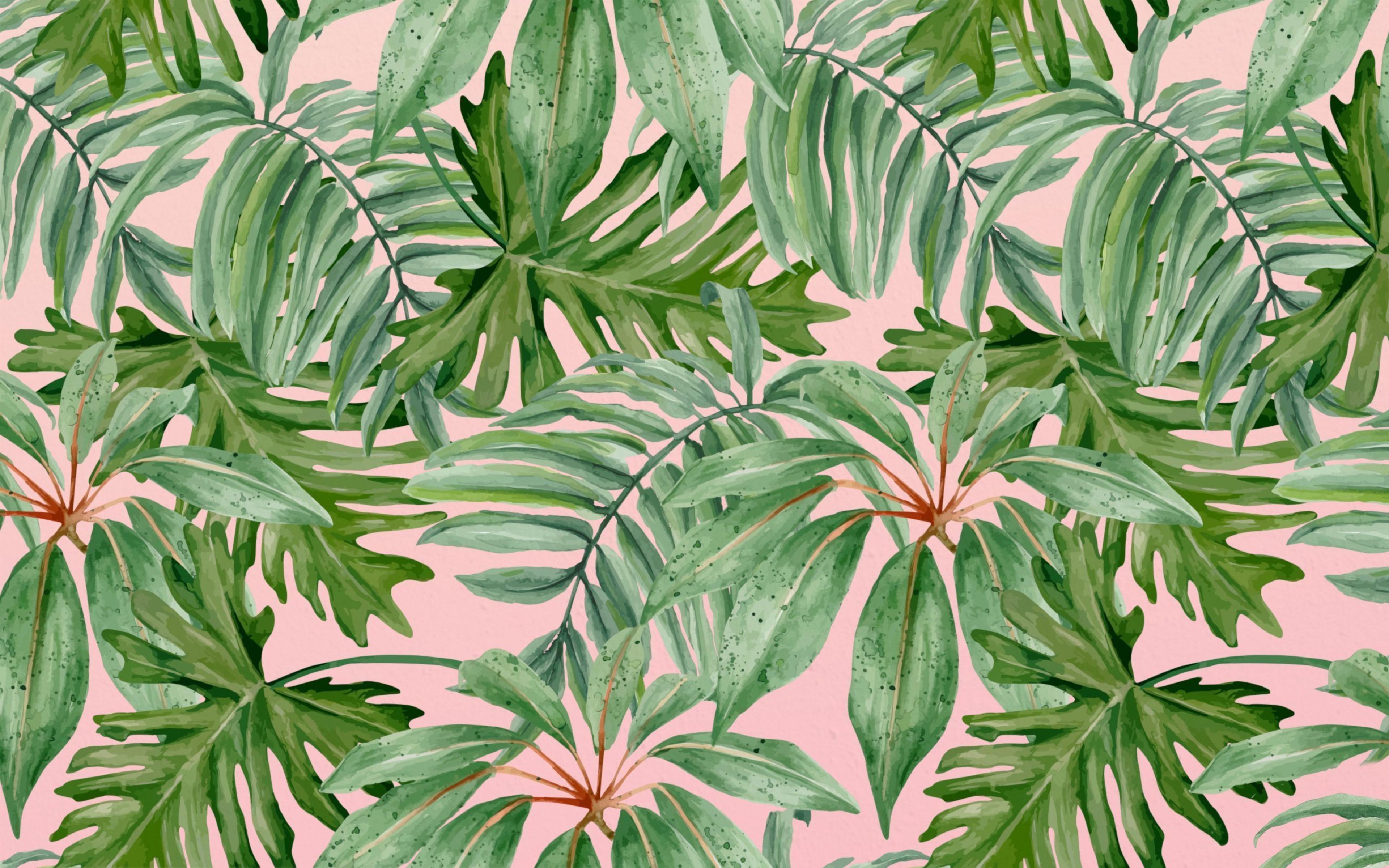 Shop cover image