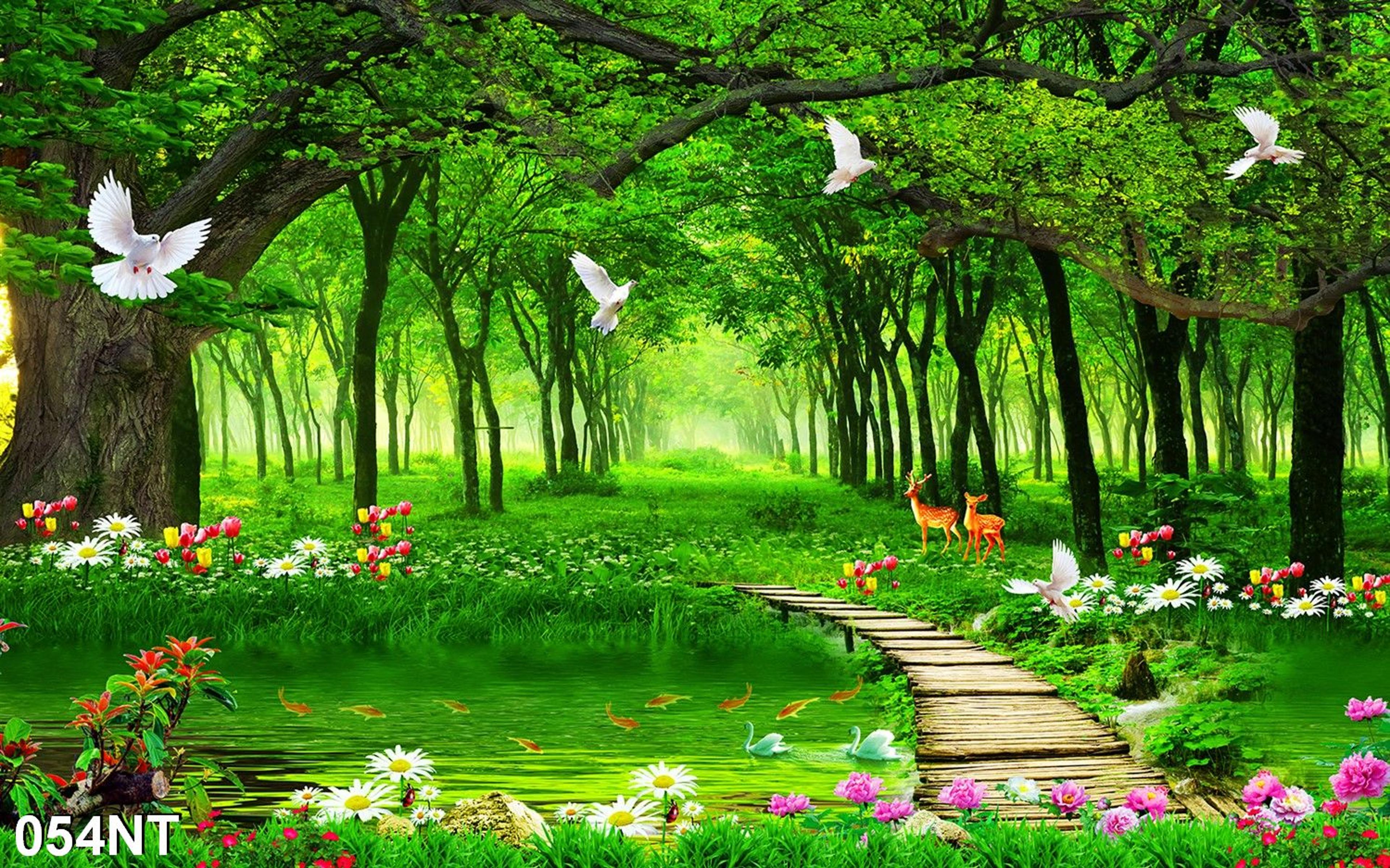 Shop cover image