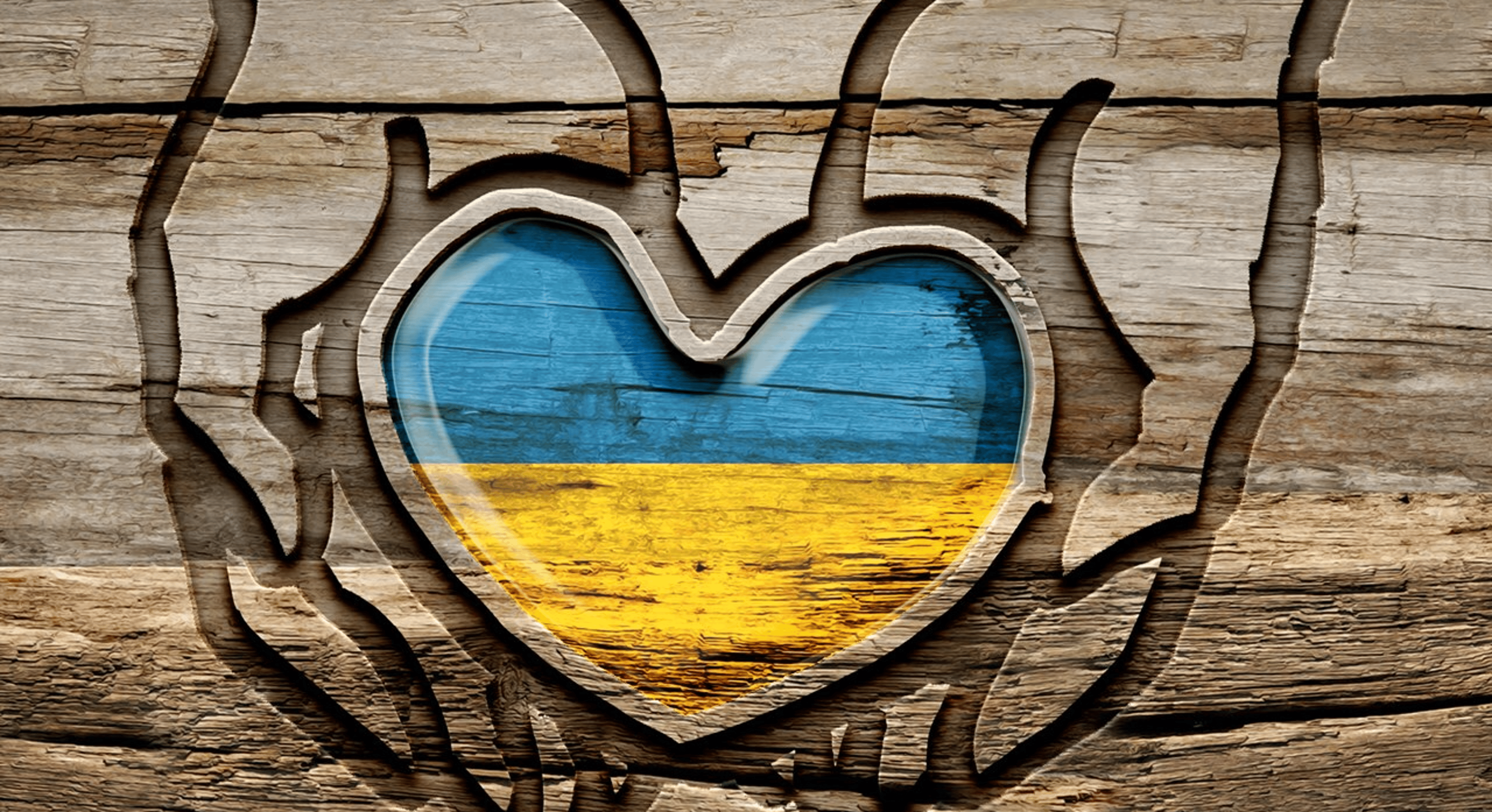 Shop cover image