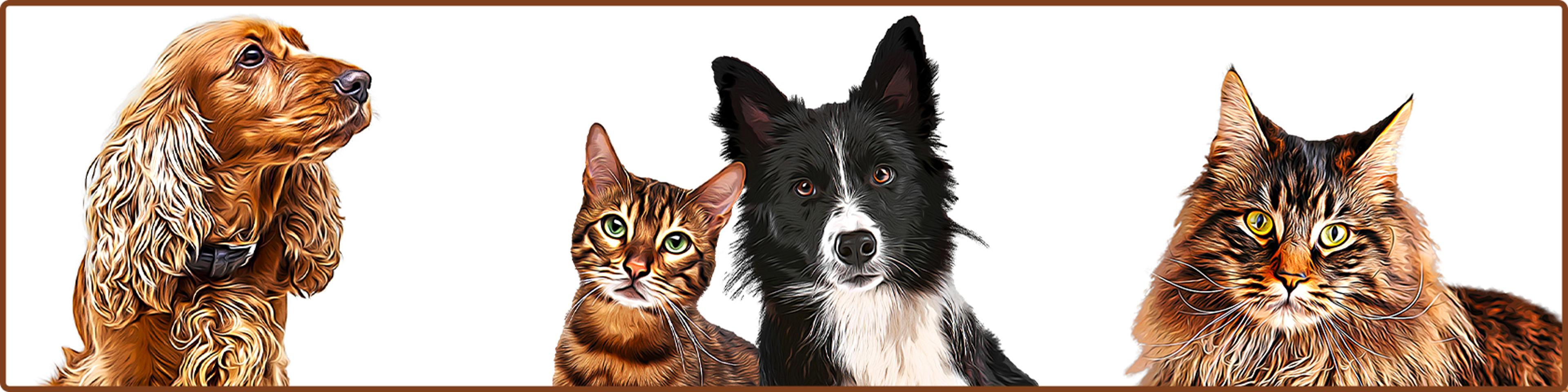 Shop cover image