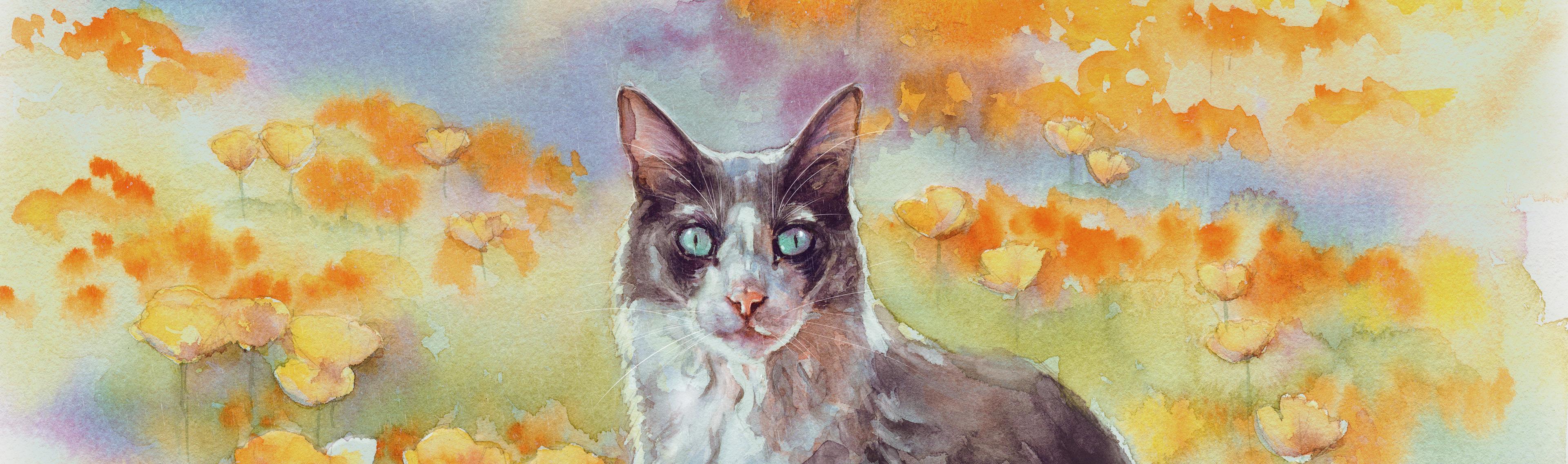 Shop cover image