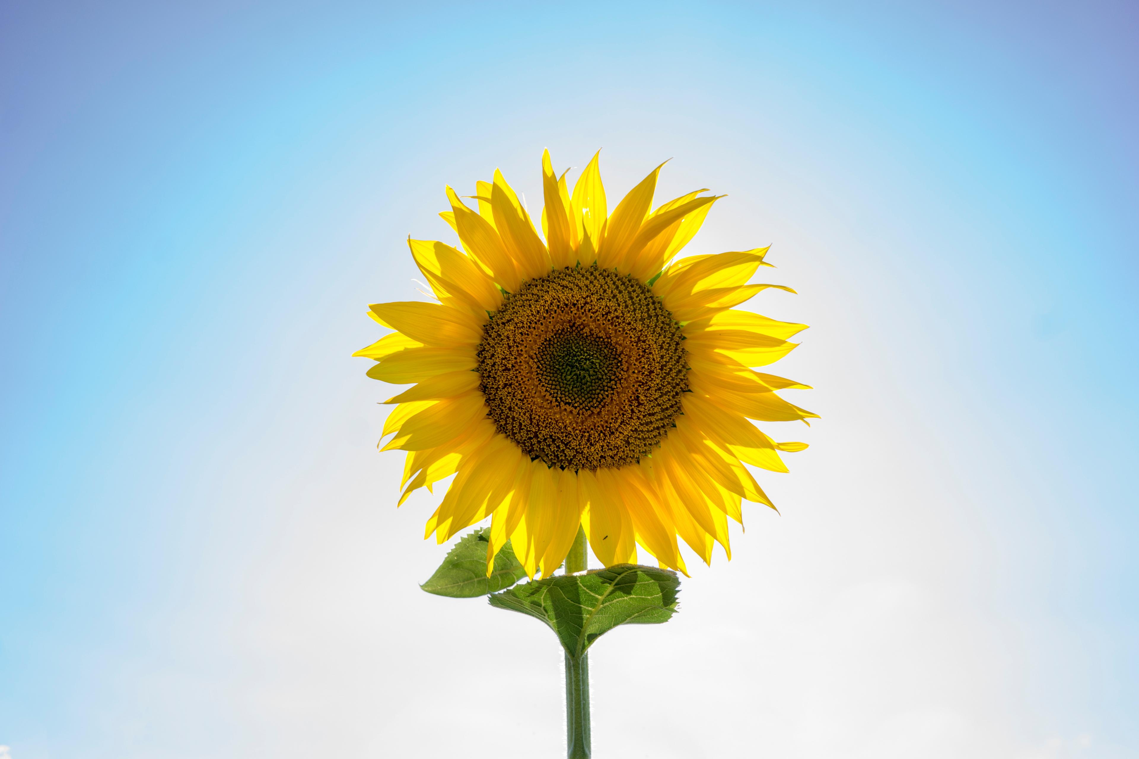 Shop cover image