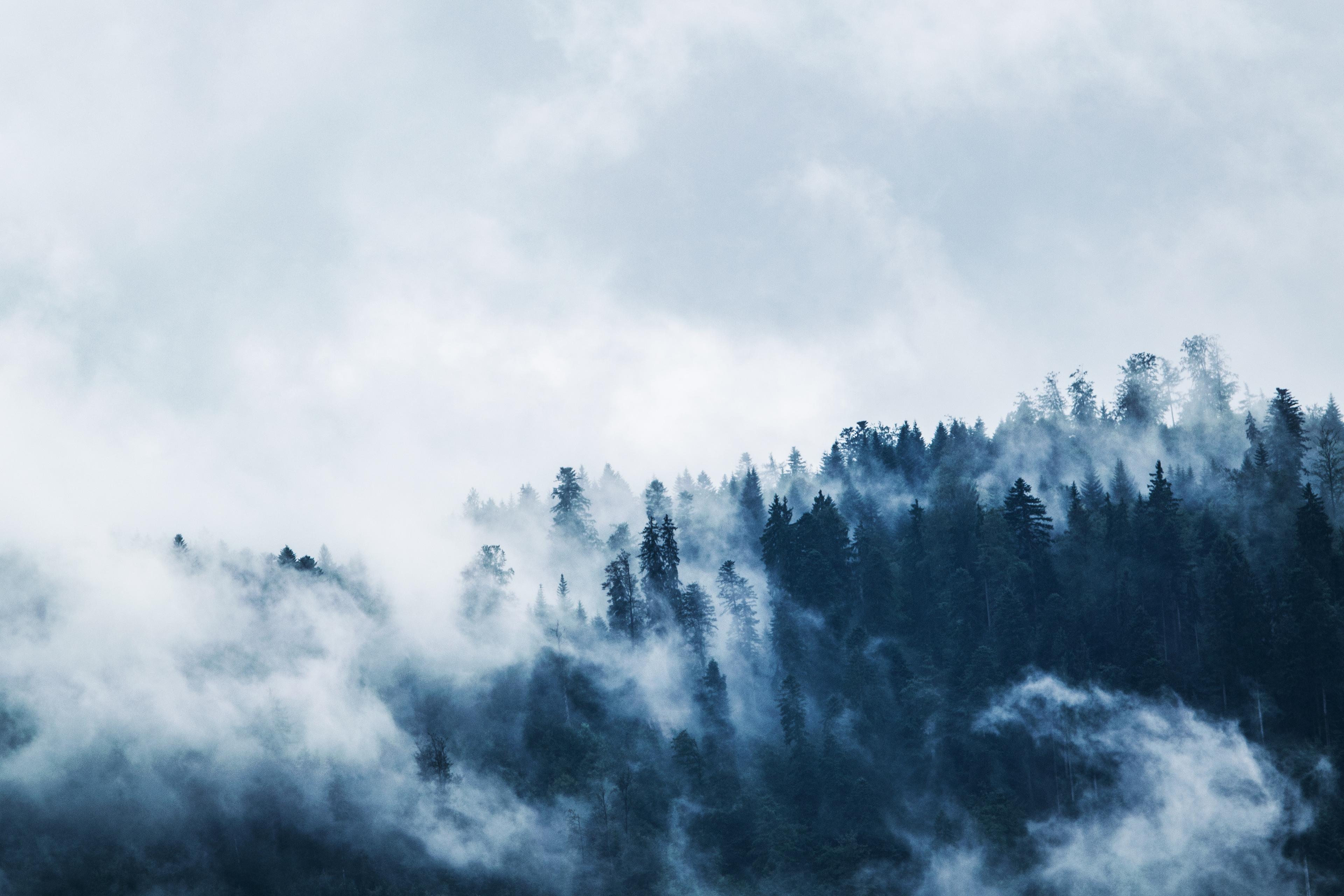 Shop cover image